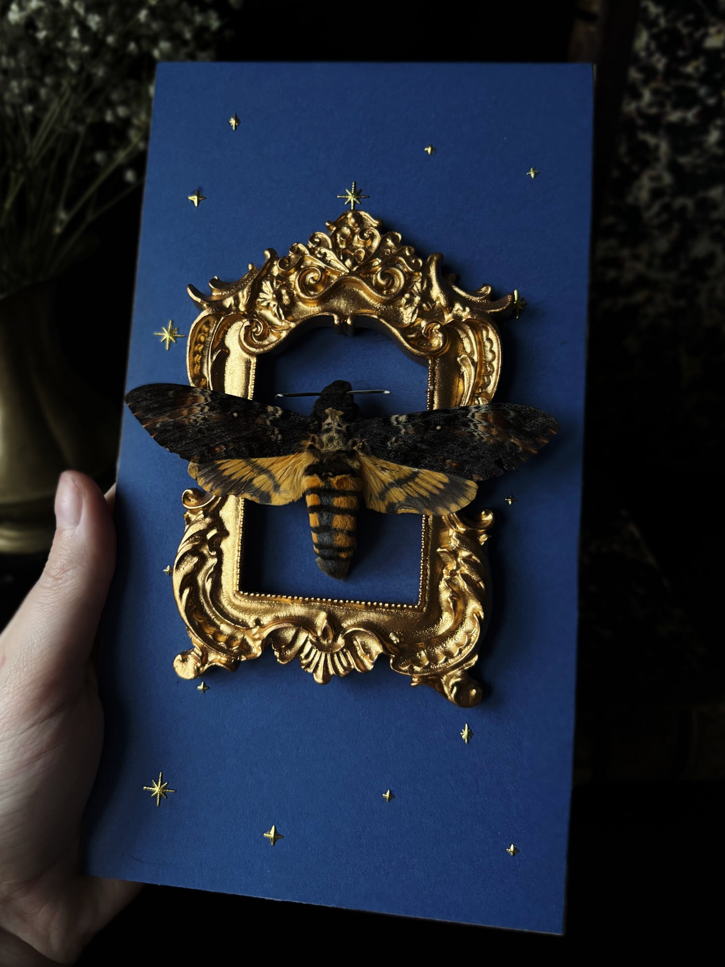 „Celestial gold“ - Acherontia atropos (23x18cm)