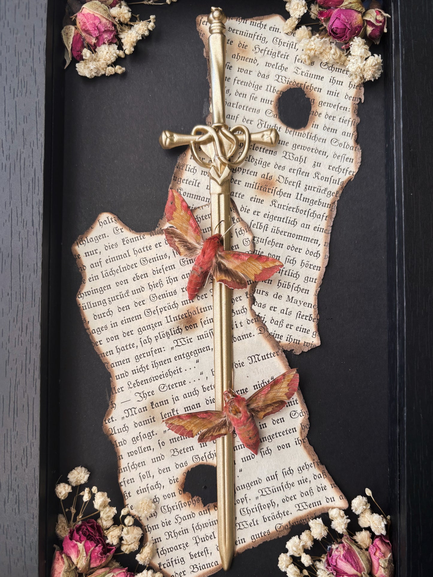 Paper Reliquary – Twin Hawk Moths (22x12cm)