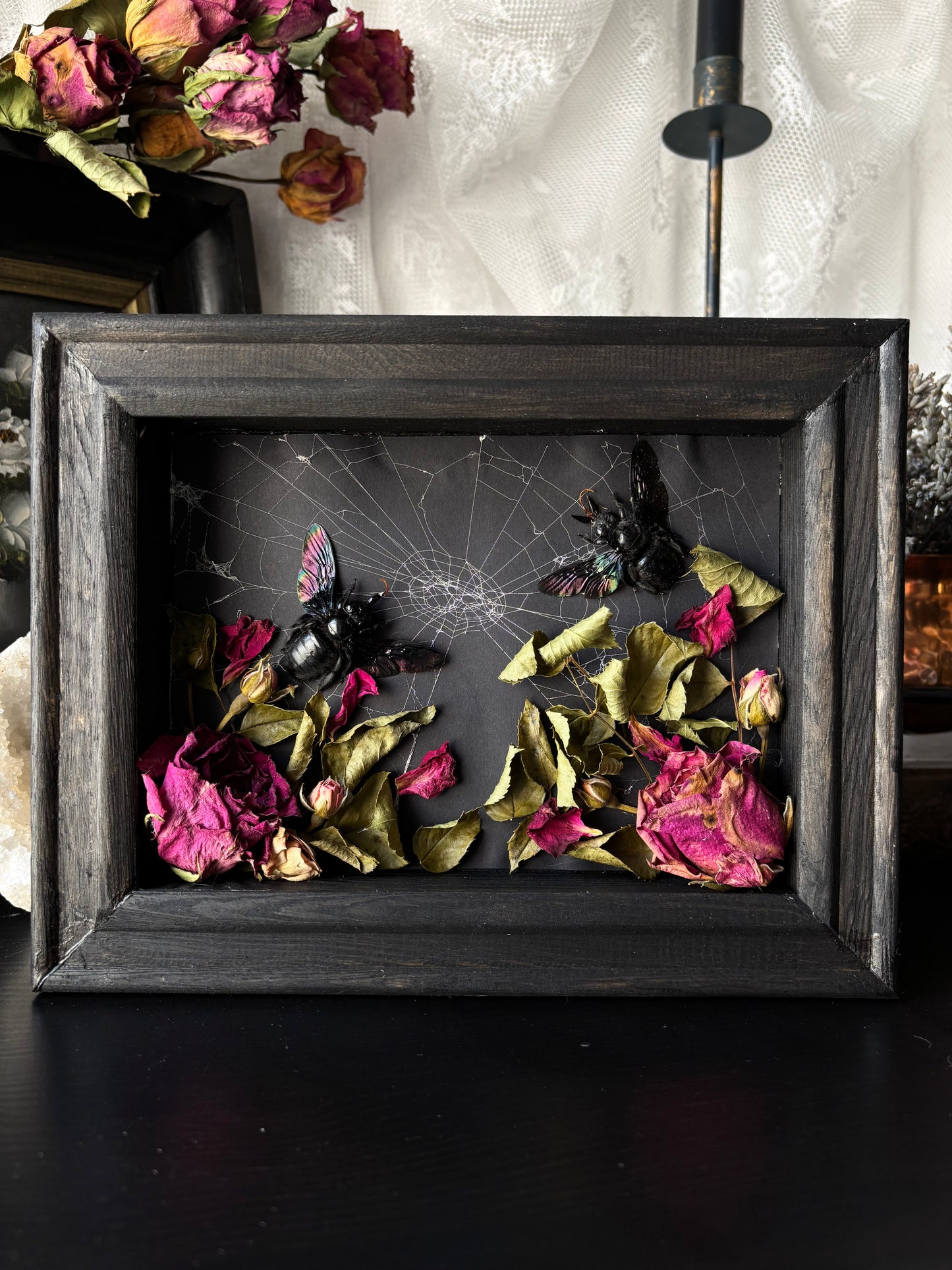 “Keeper of the Web” – Xylocopa latipes (23x18 cm)