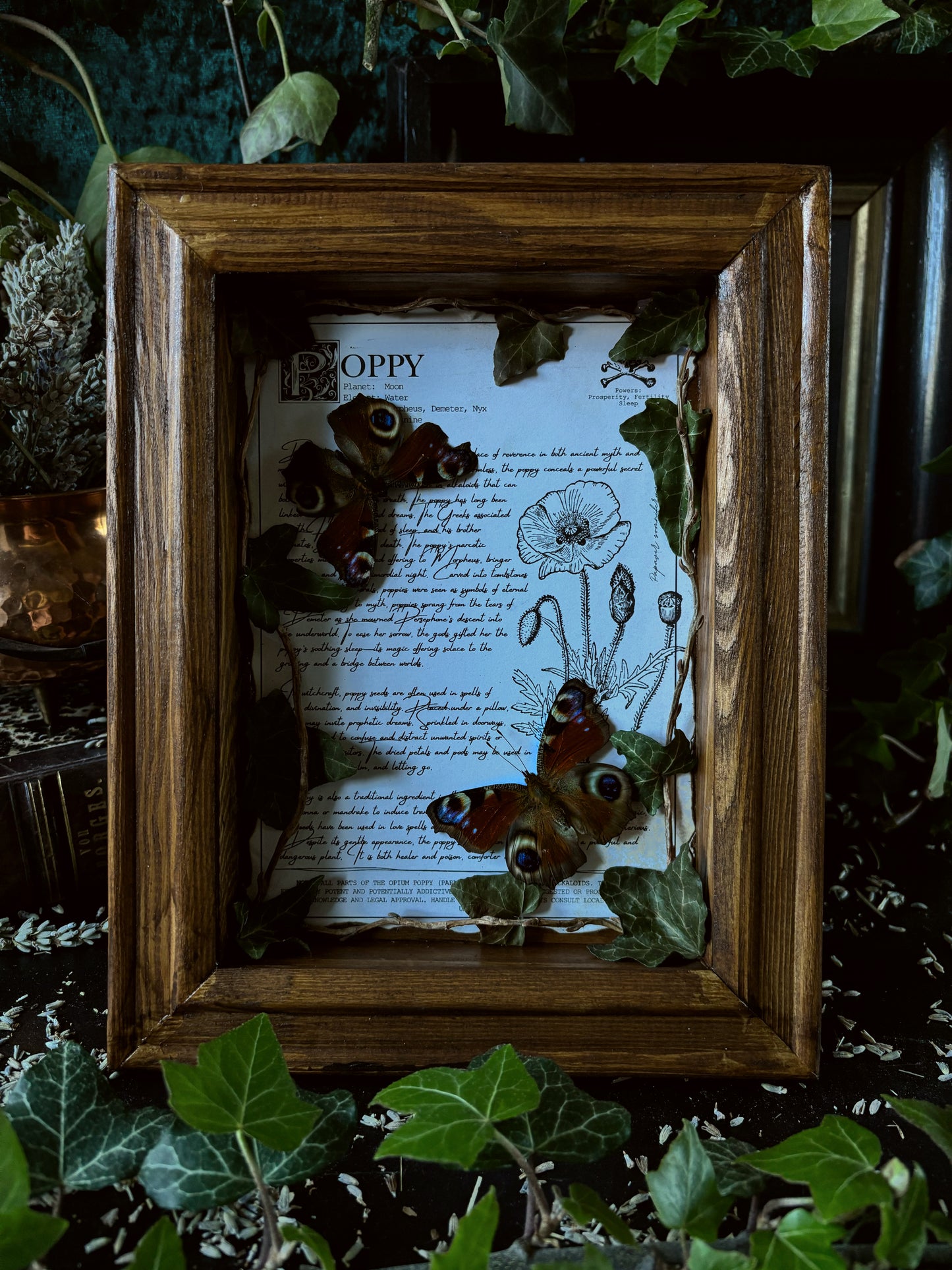 Poppy Frame – "Inachis io" (24x18cm)