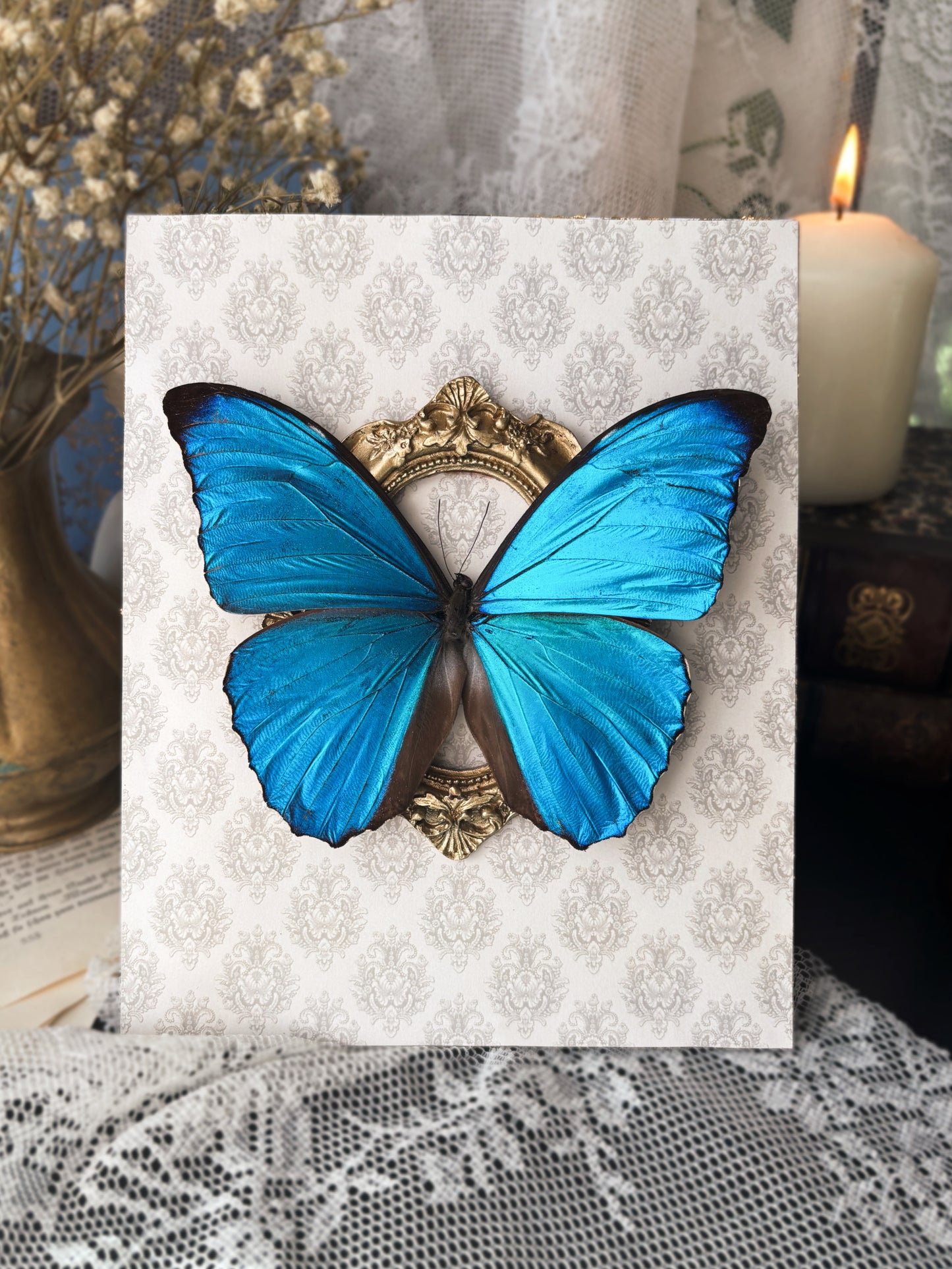 The Empress – Morpho amathonte (23x19cm)