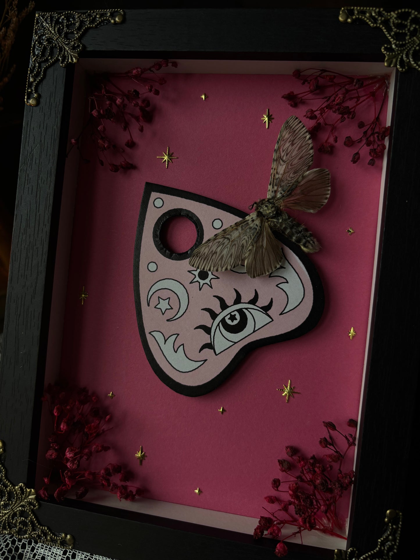 „Ouijah“ - Cerura vinula (18x13cm)