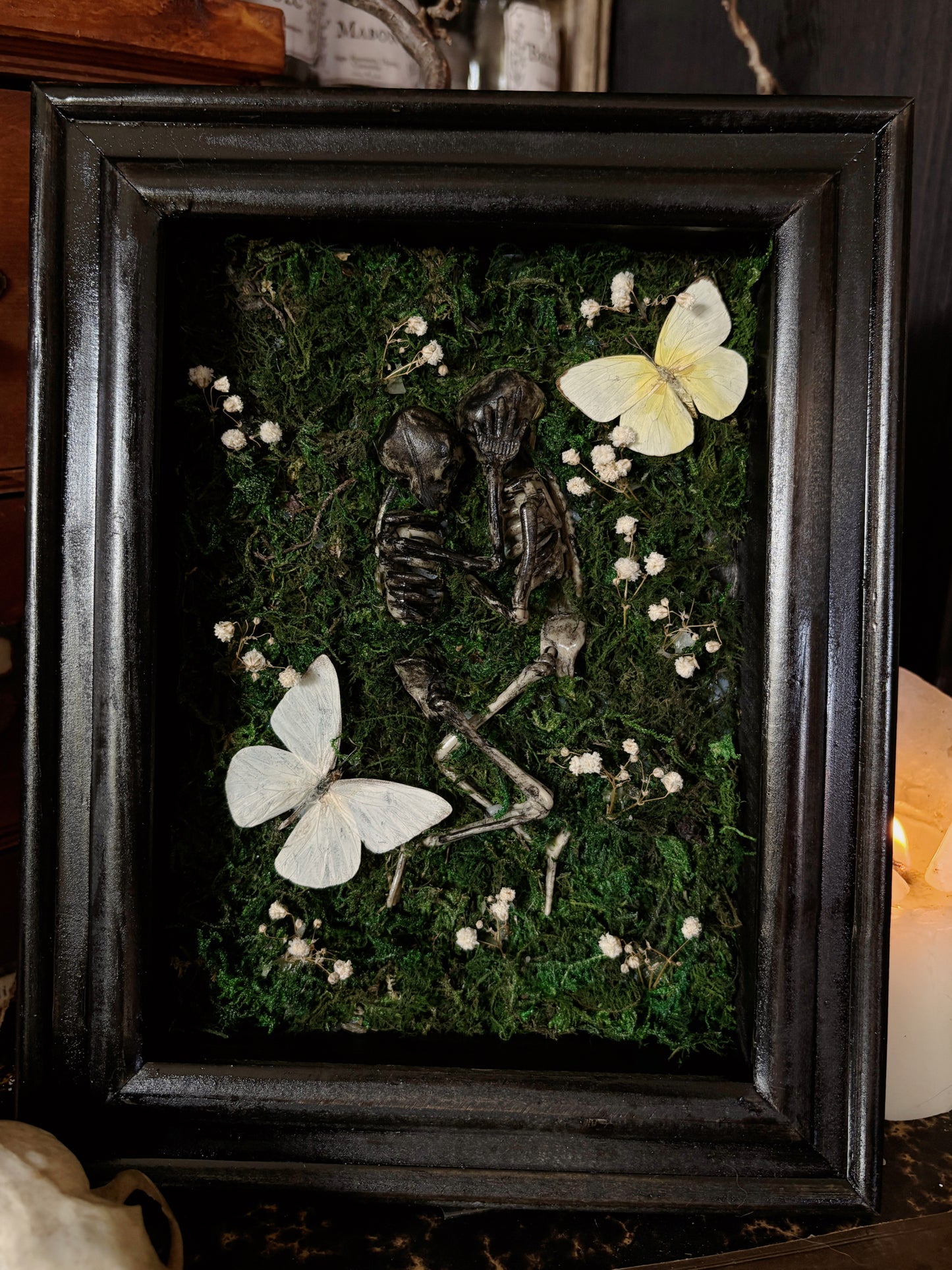 ETERNITY - Appias albina/ Catopsilia pomona(18X13cm)