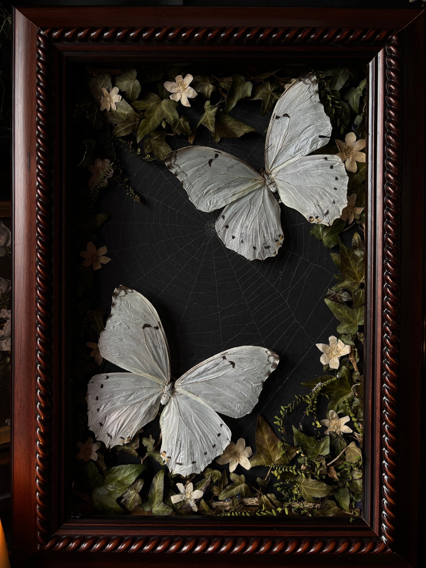 Forest remains | White Morphos Vintage Wood Frame (50x35cm)