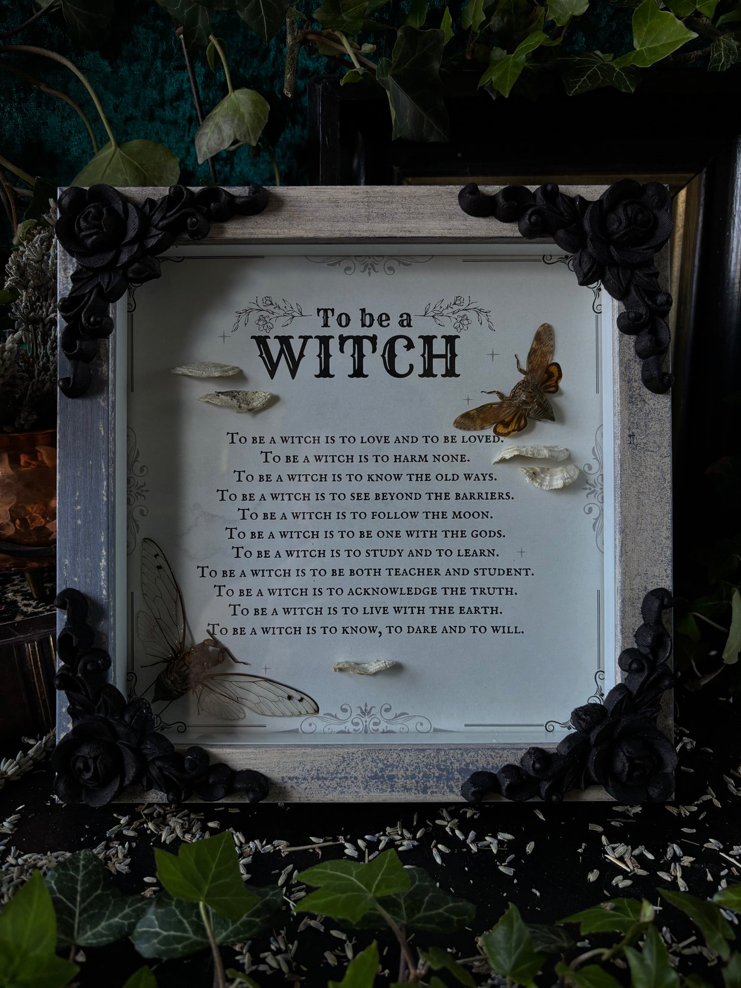 „To be a witch“ - Cicadas (20x20)