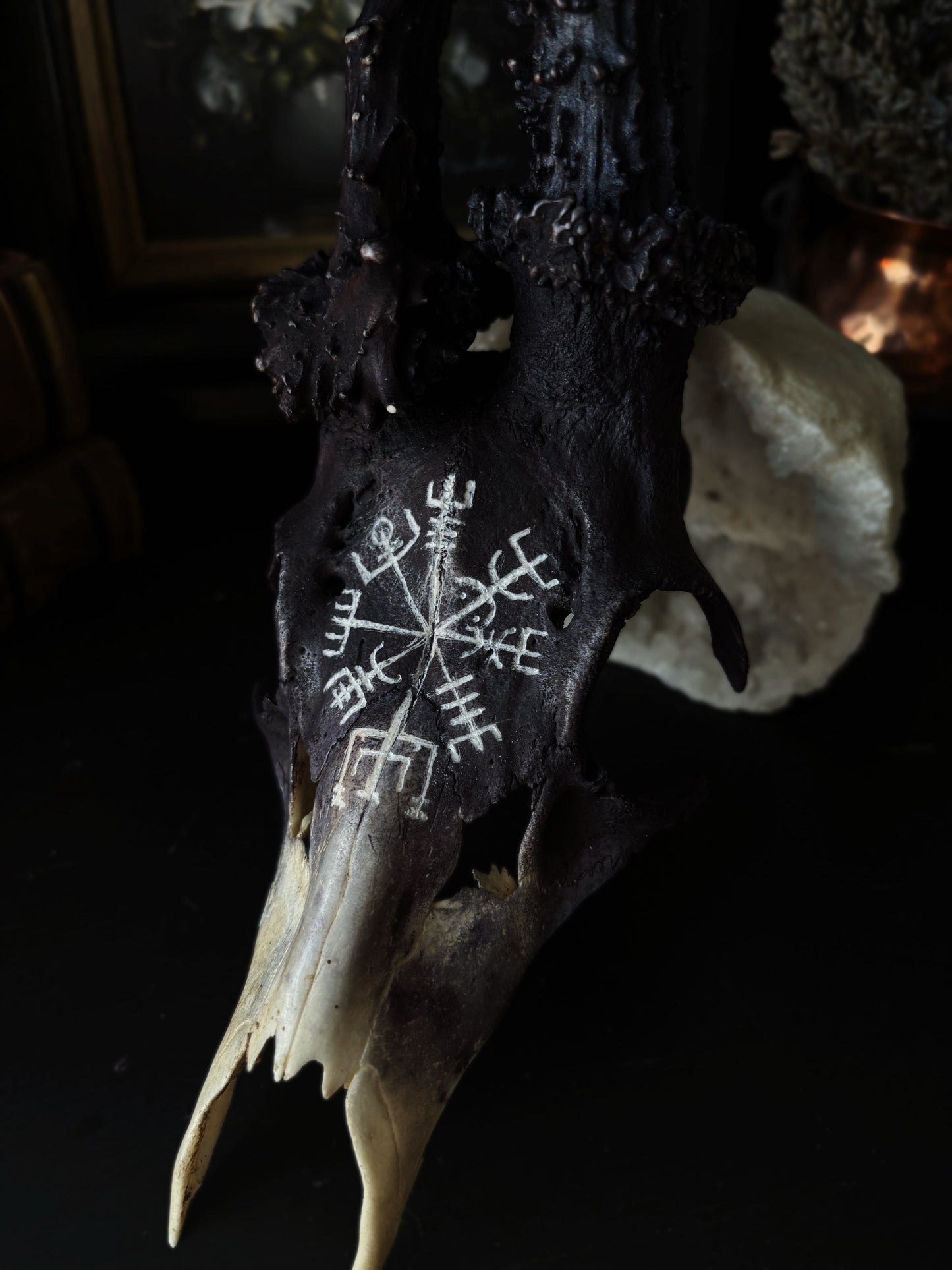 Vegvisir Deer Skull | Handcarved & Painted Bone Art
