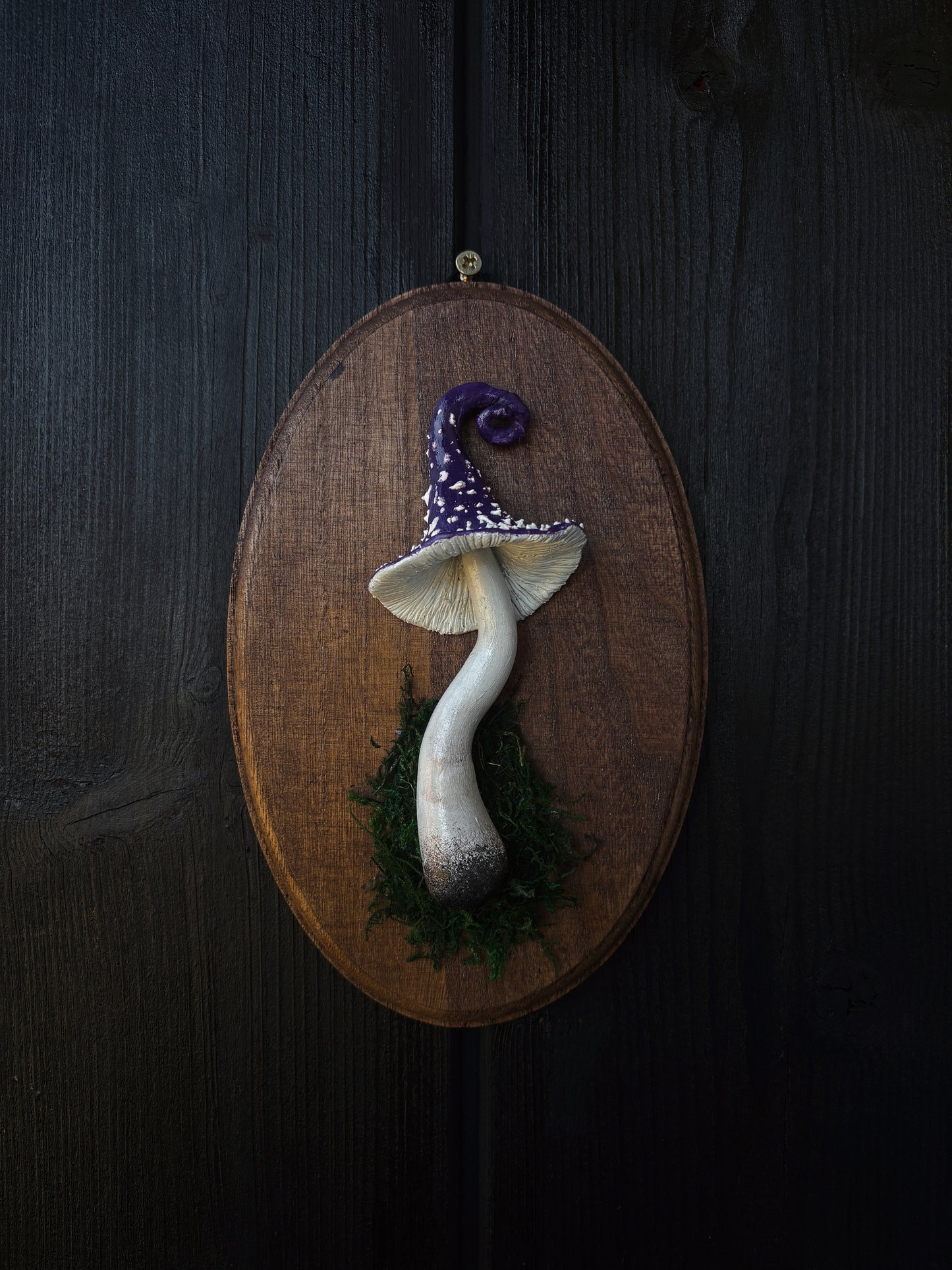 Witch’s Cap - Polymer Clay Mushroom (21,5x14cm)
