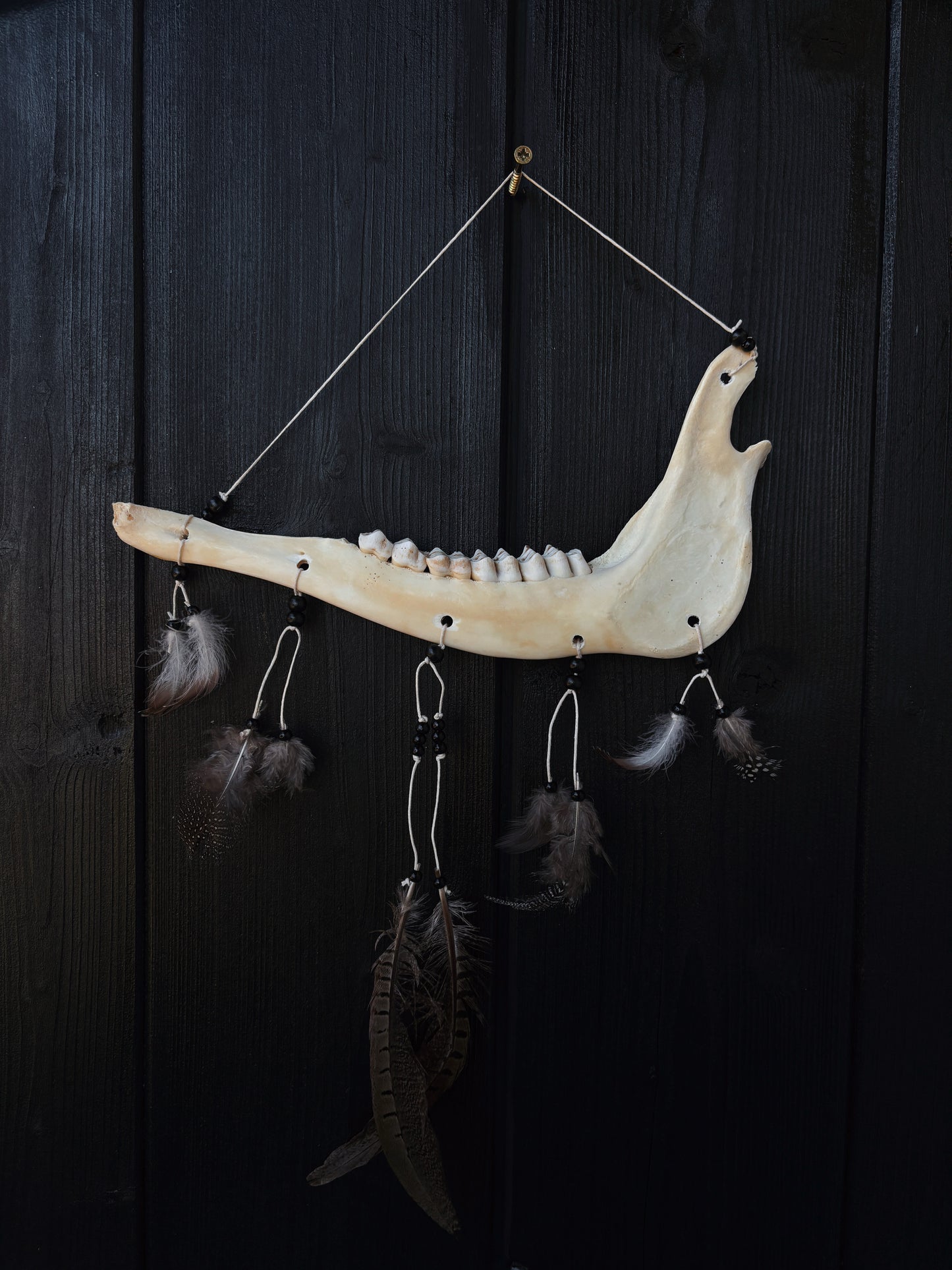 Jawbone Wall Hanger ✶ Feathers