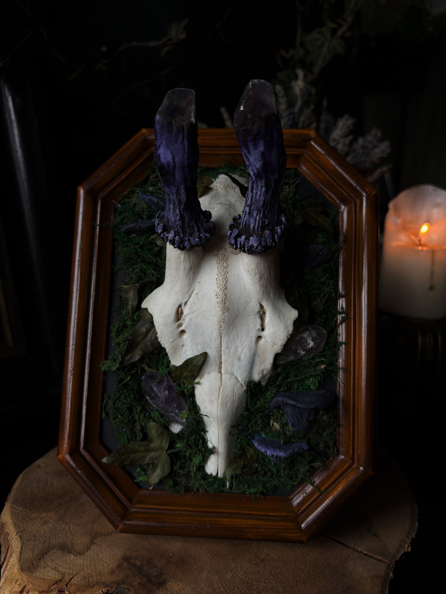 Amethyst Antler Skull Frame – Gods of the Forest V (Vintageframe, 20x15cm)