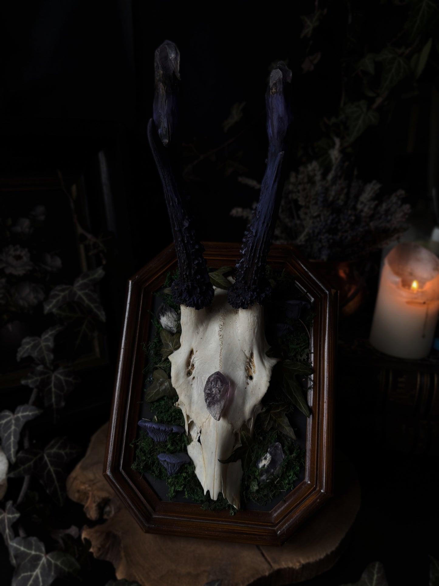 Amethyst Antler Skull Frame – Gods of the Forest IV (Vintageframe, 20x15cm)