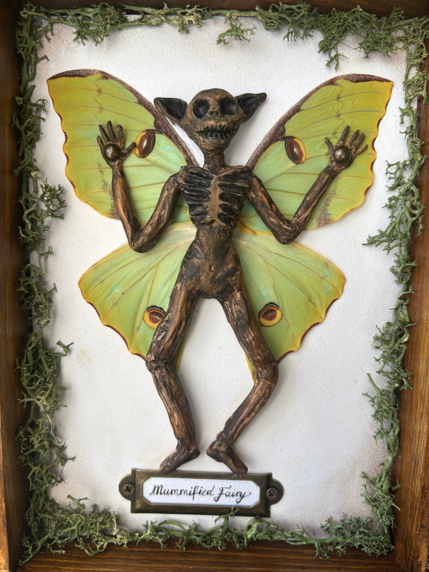 Mummified fairy (23x18cm)