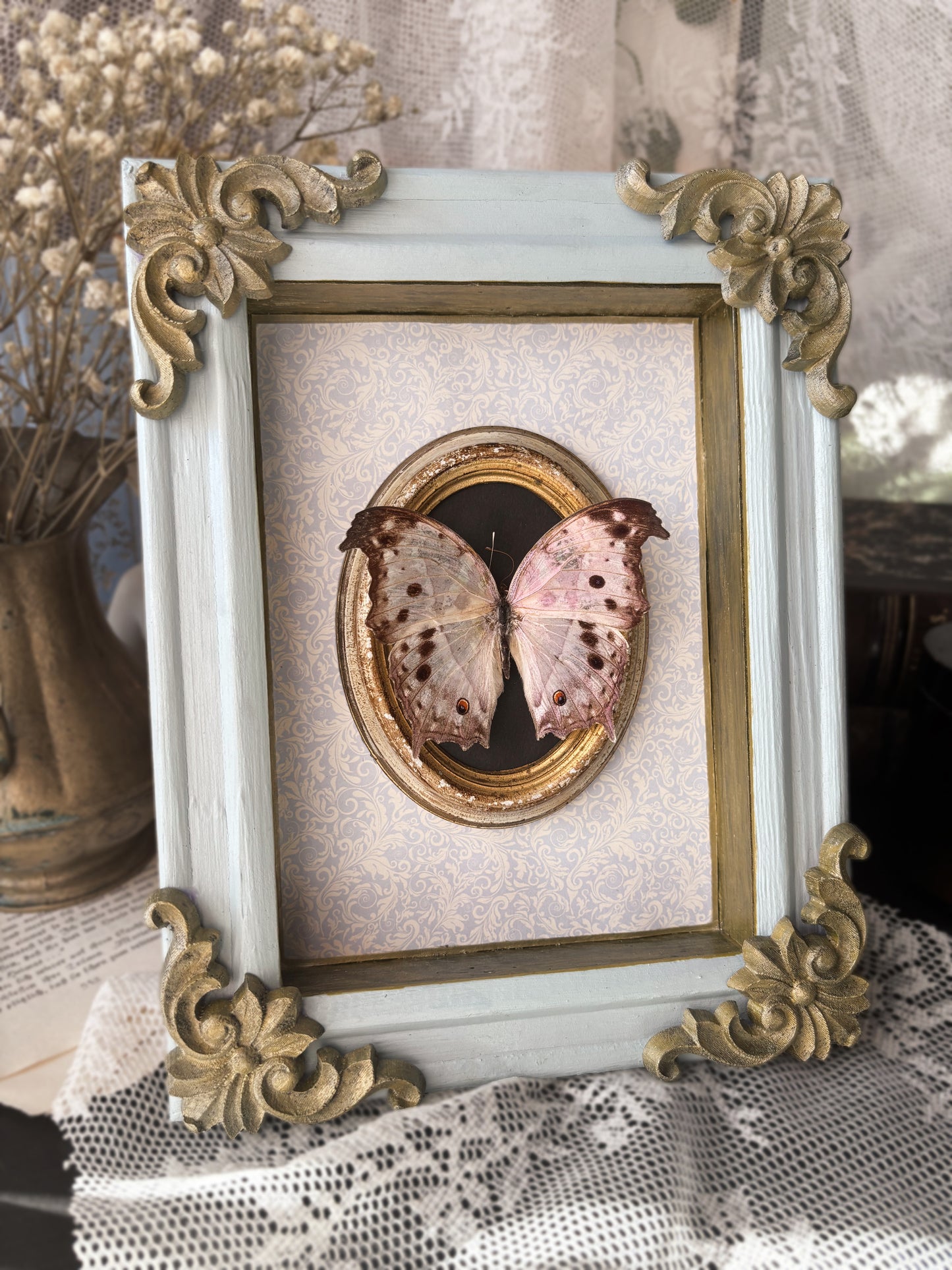 Imperial Blush Gallery – Salamis parhassus (23x18cm)