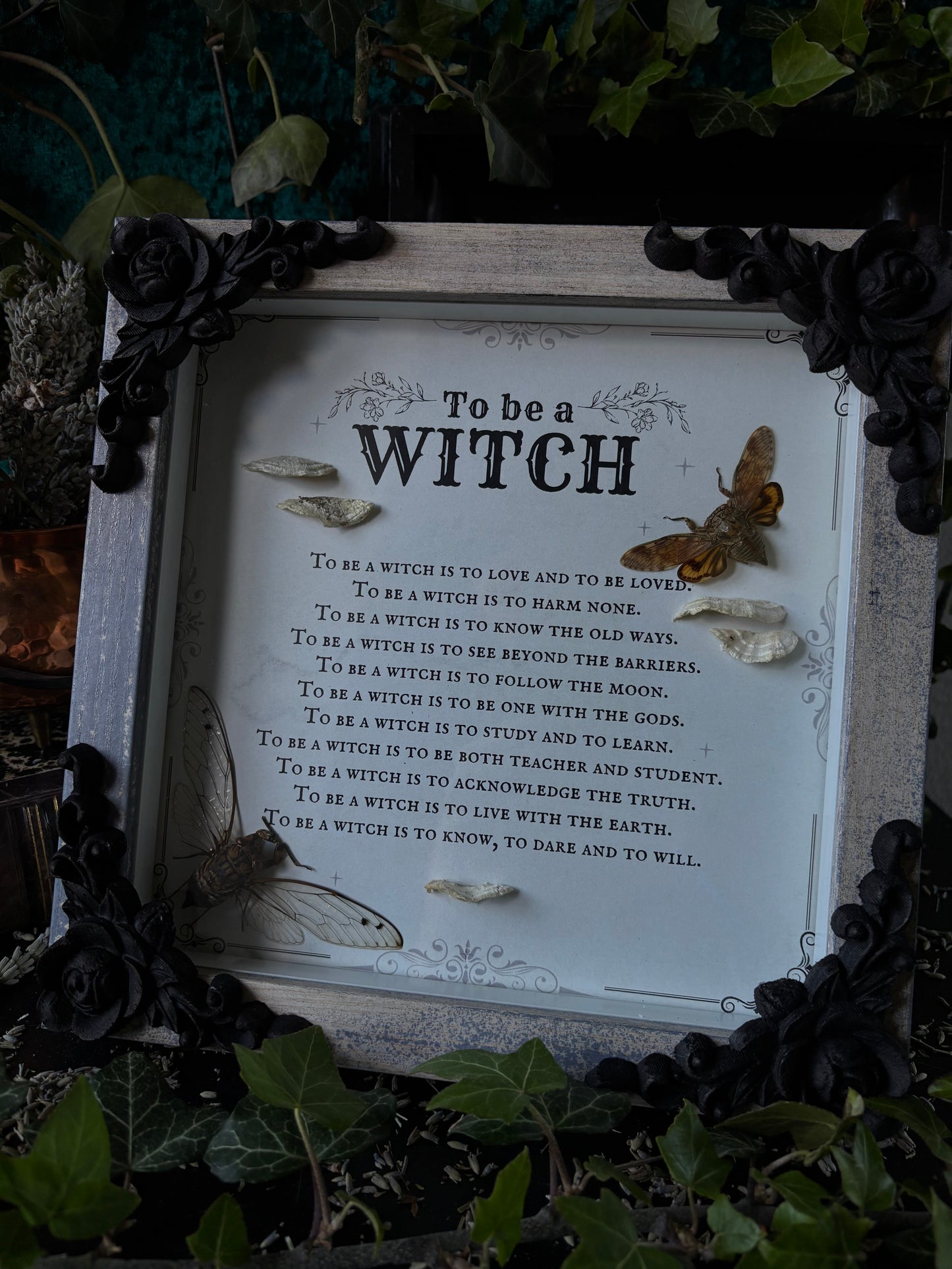 „To be a witch“ - Cicadas (20x20)