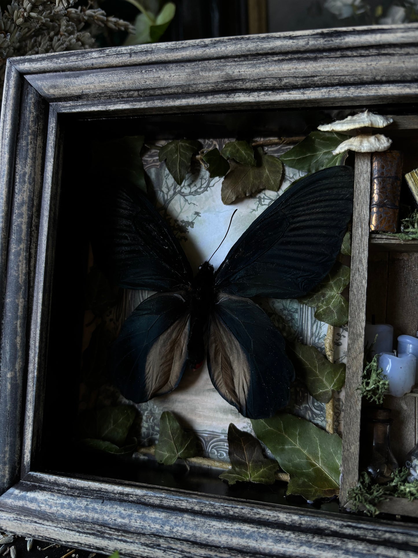 „Witches lair“ Apothecary cabinet