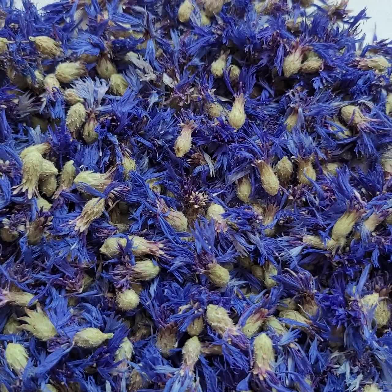 CORNFLOWER ✦ dried flowers (15g)
