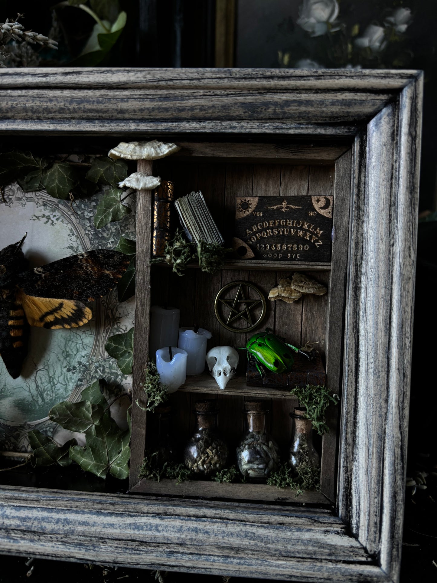 „Witches lair“ Apothecary cabinet - Acherontia Atropos
