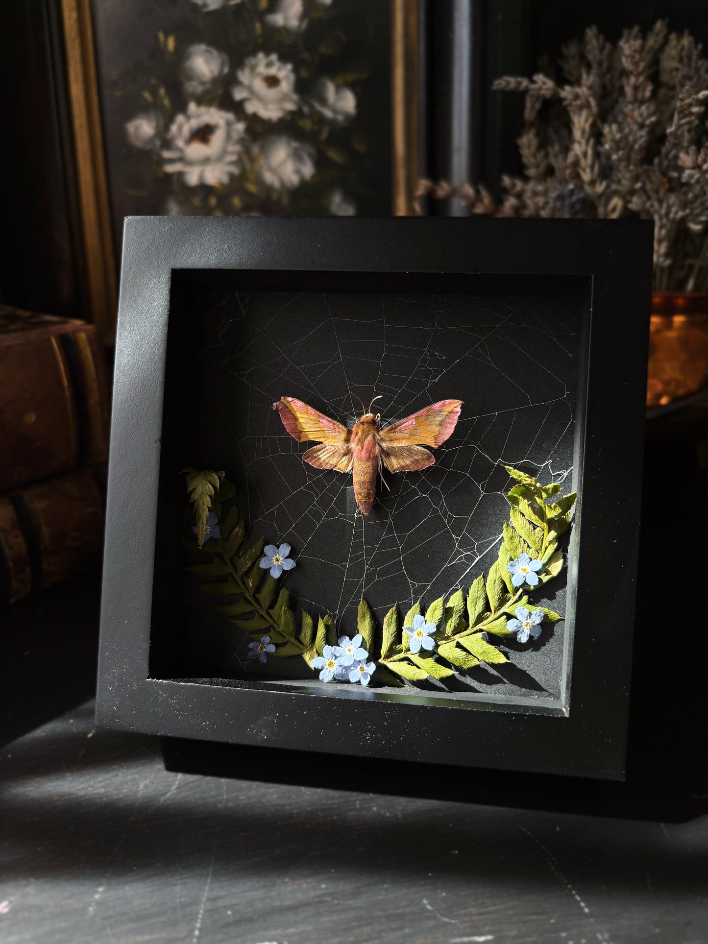 "Forget me not" - Pink moth (10x10cm)