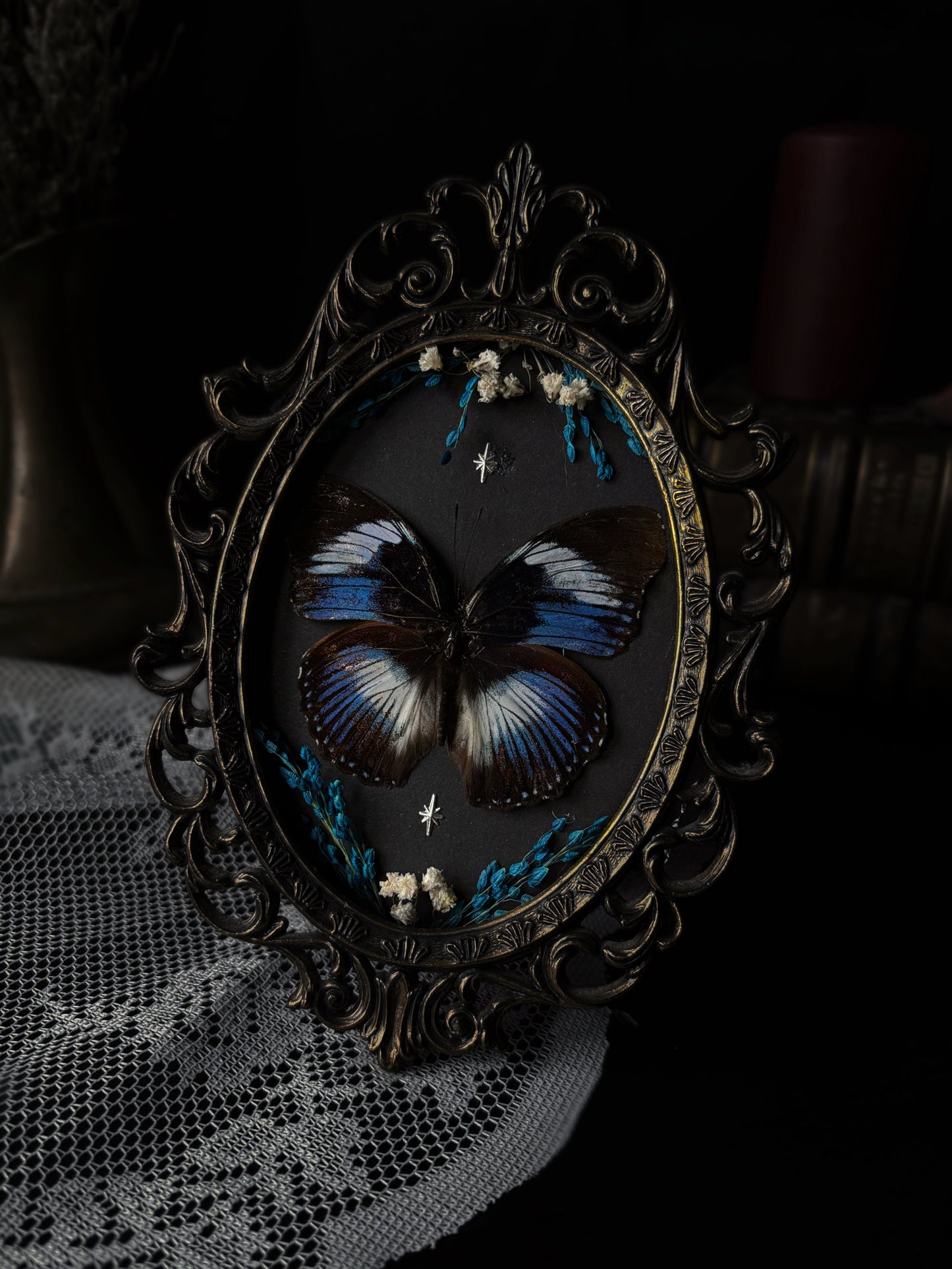 Hypolimnas salmacis (Vintage)