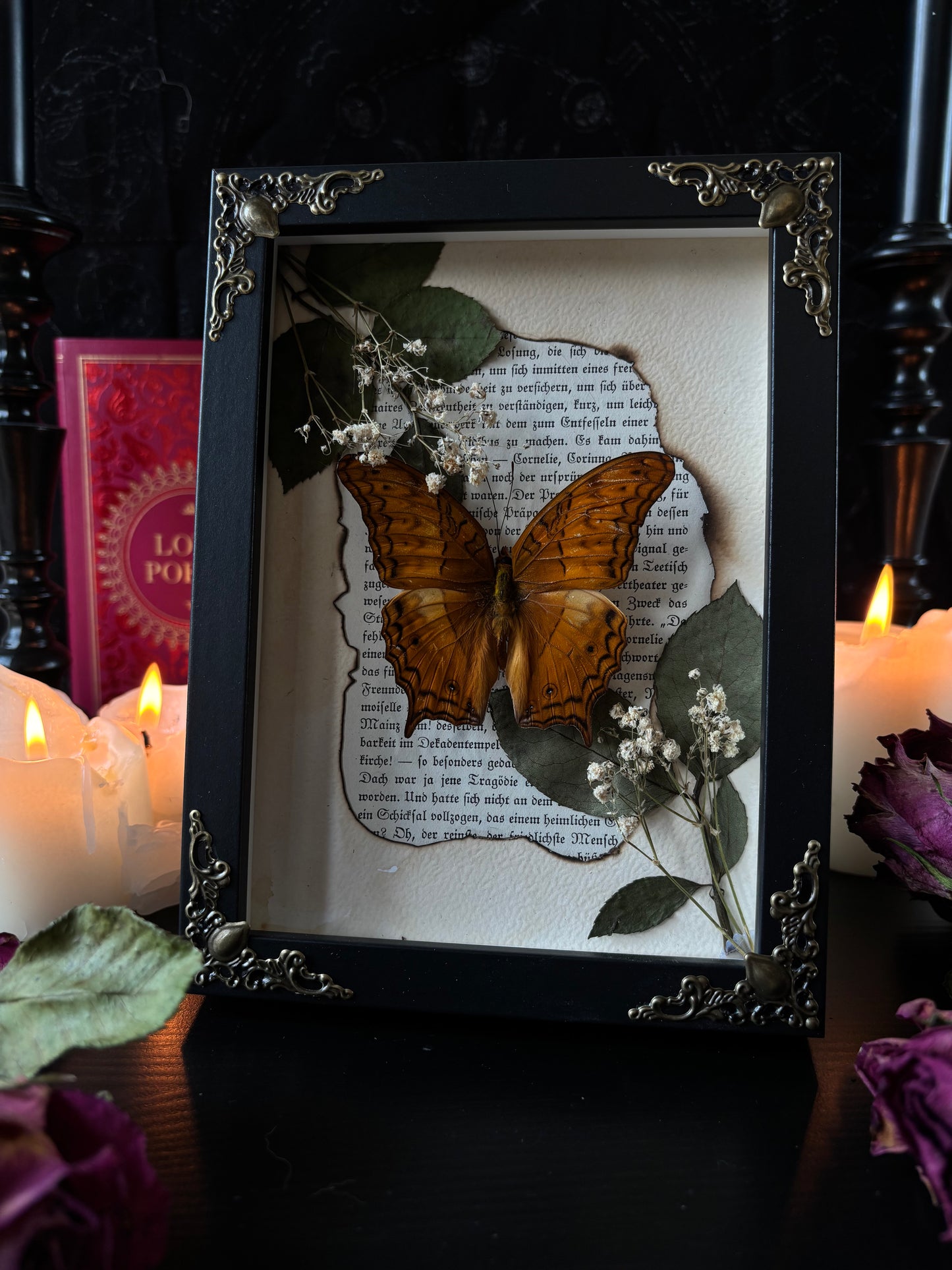 „Book portal“ (18x13cm)