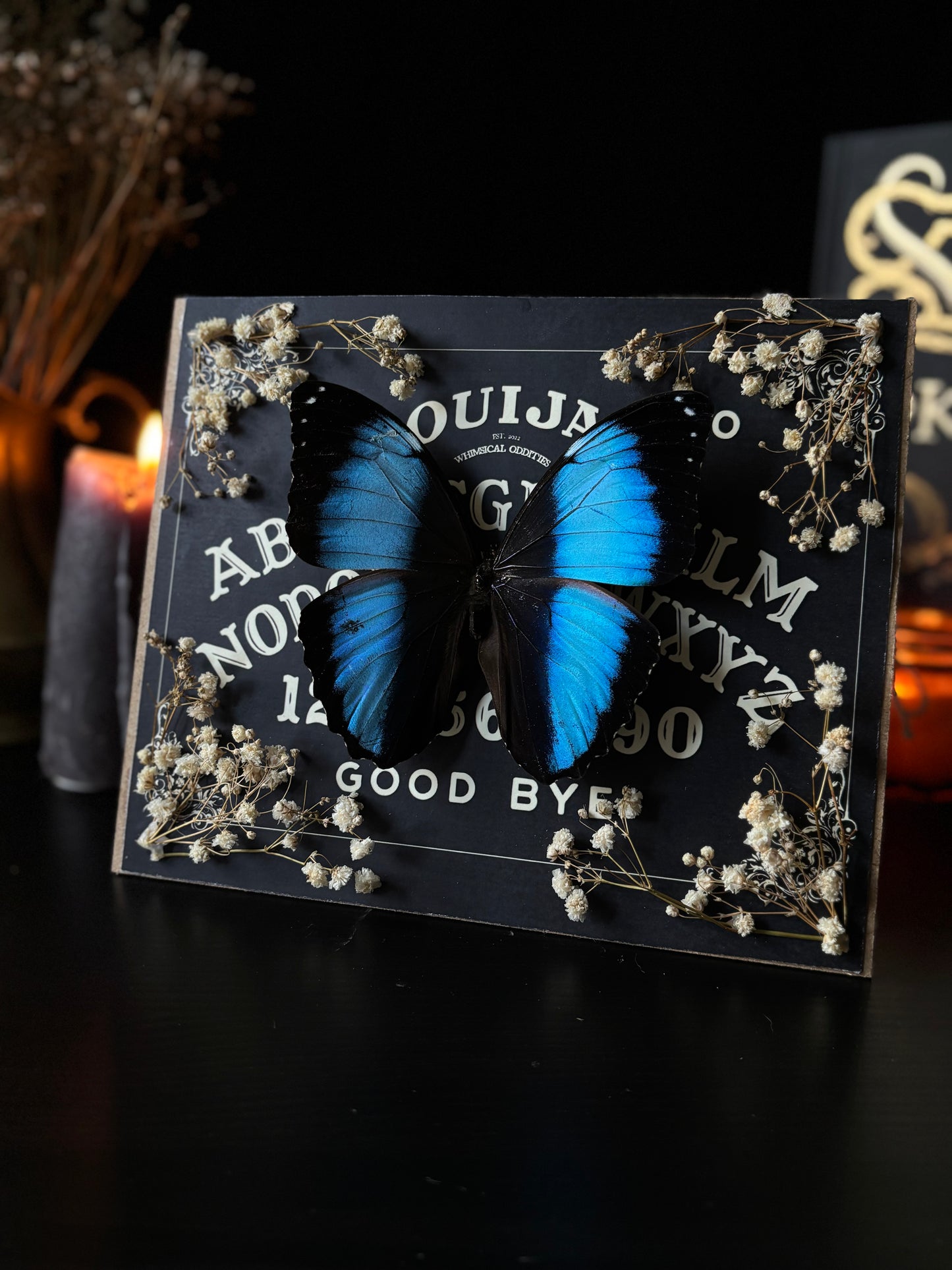 Gothic Ouijah Shadow Box | Morpho Achilles (20x15cm)