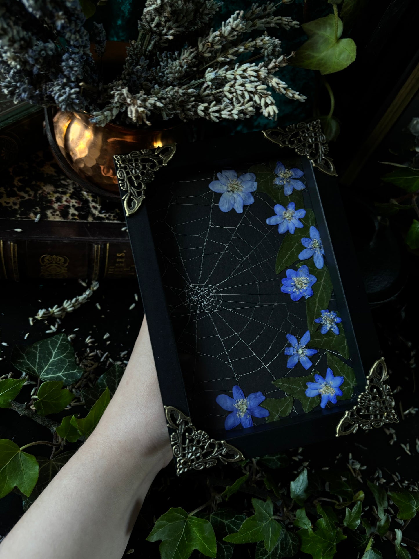 Framed spiderweb - Witches lair