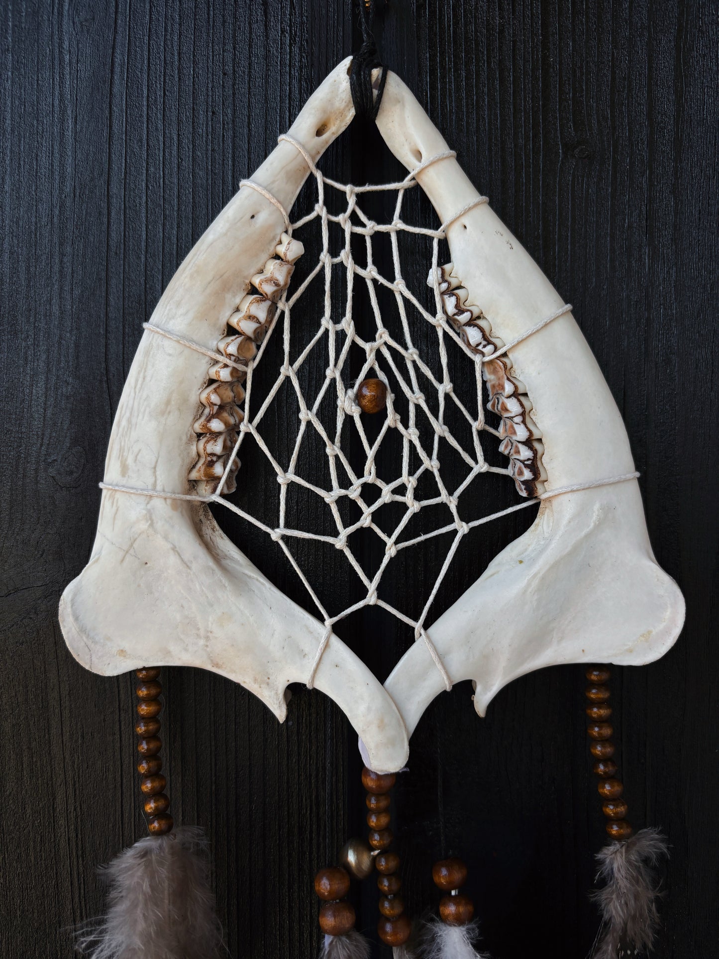 Forest Dreamer - Deer Jaw Dreamcatcher small