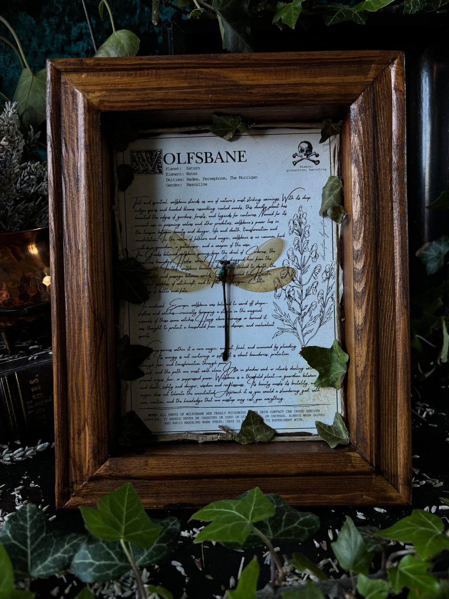 Wolfsbane Frame – "Dragonfly" (24x18cm)