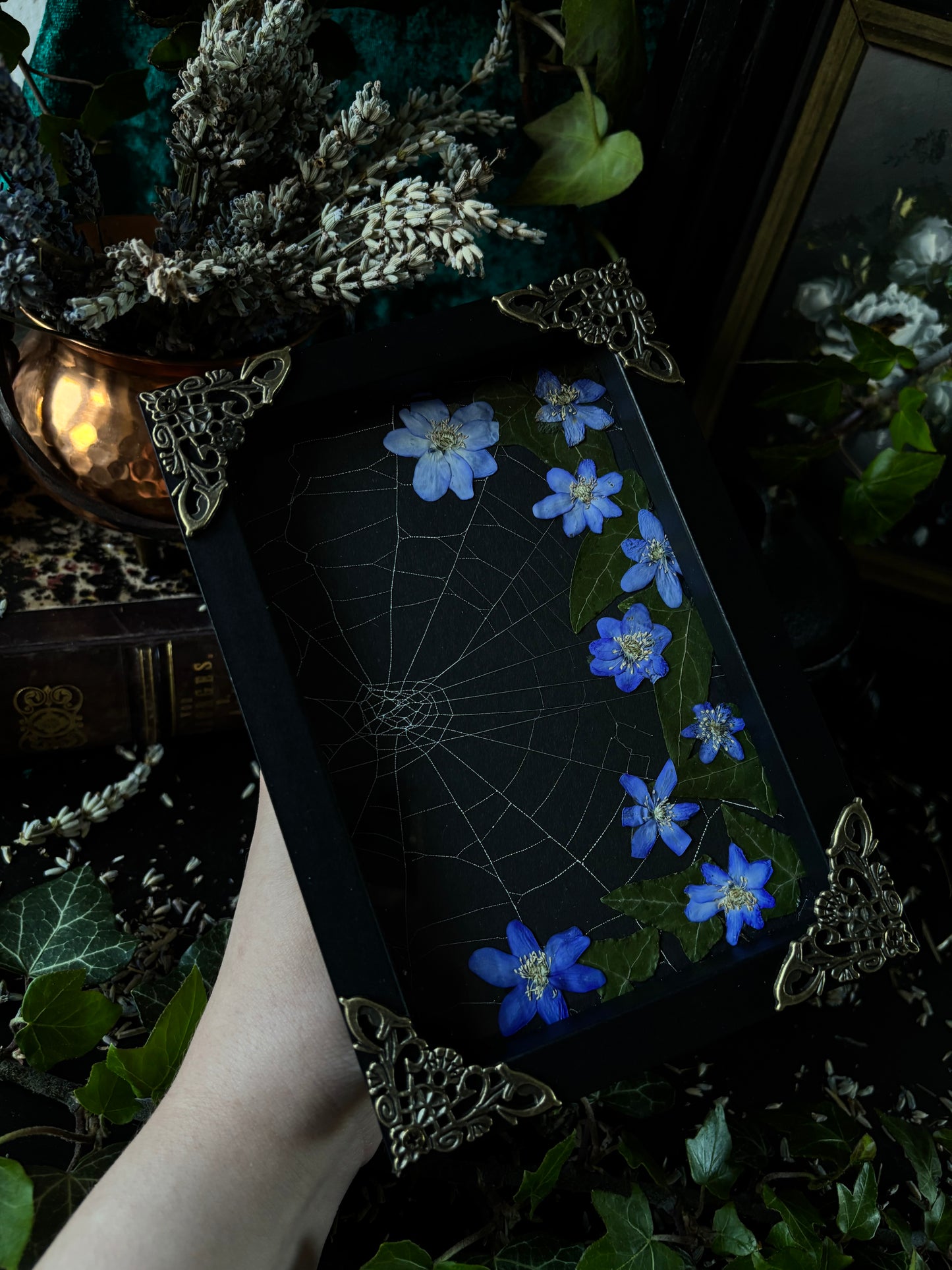 Framed spiderweb - Witches lair