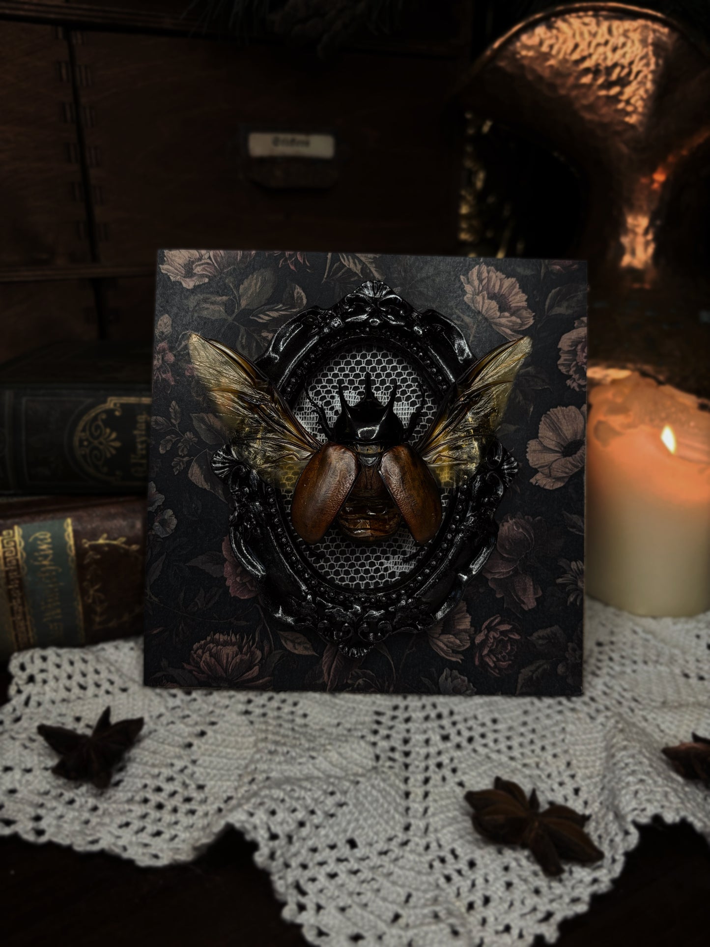 Beckius beccari (15x15cm)