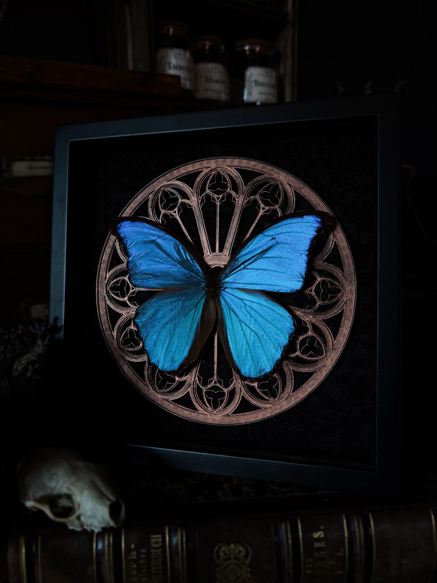 Gothic Rose Window | Morpho (20x20cm)