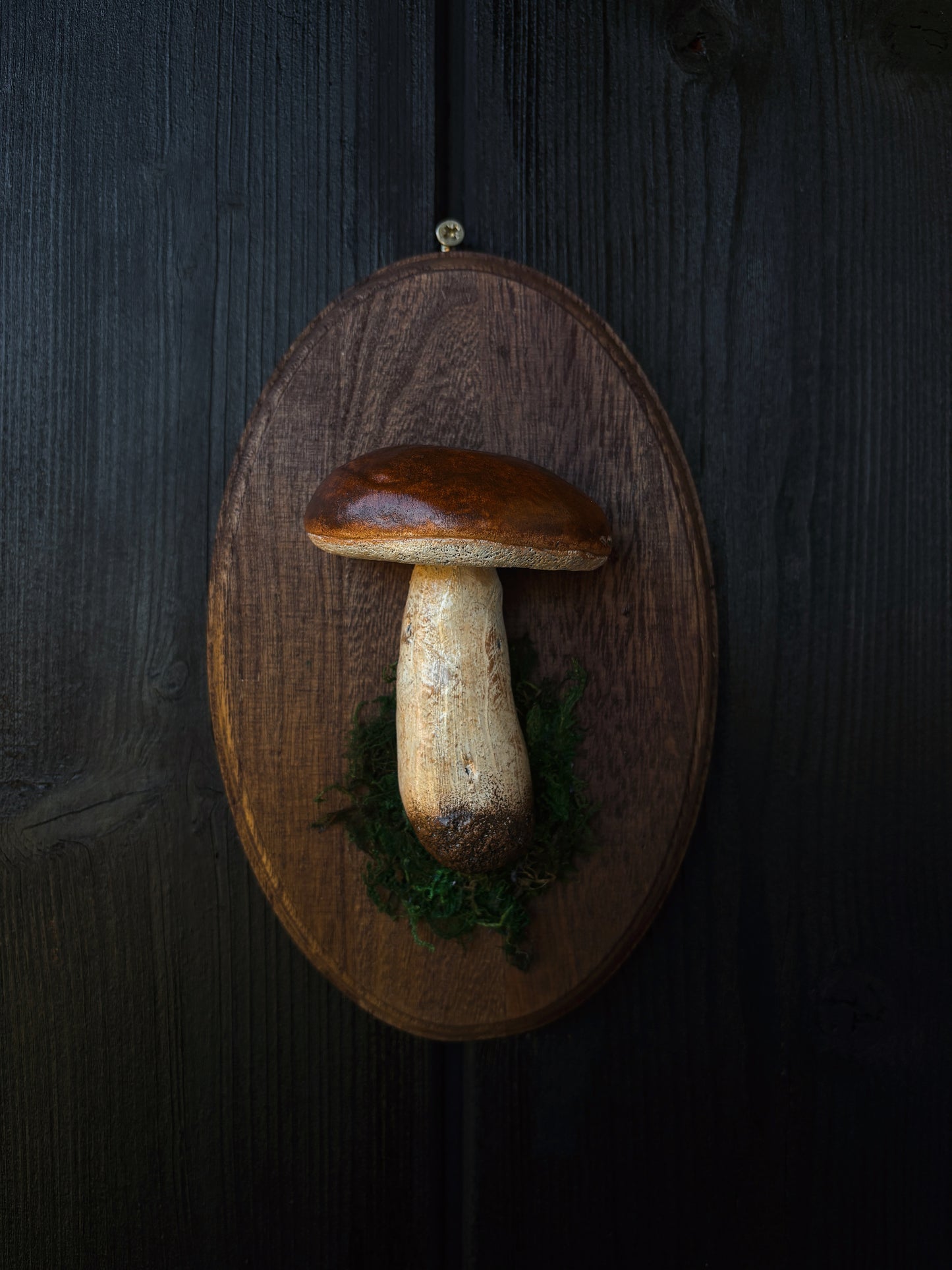 Porcini Mushroom - Polymer Clay Mushroom (21,5x14cm)