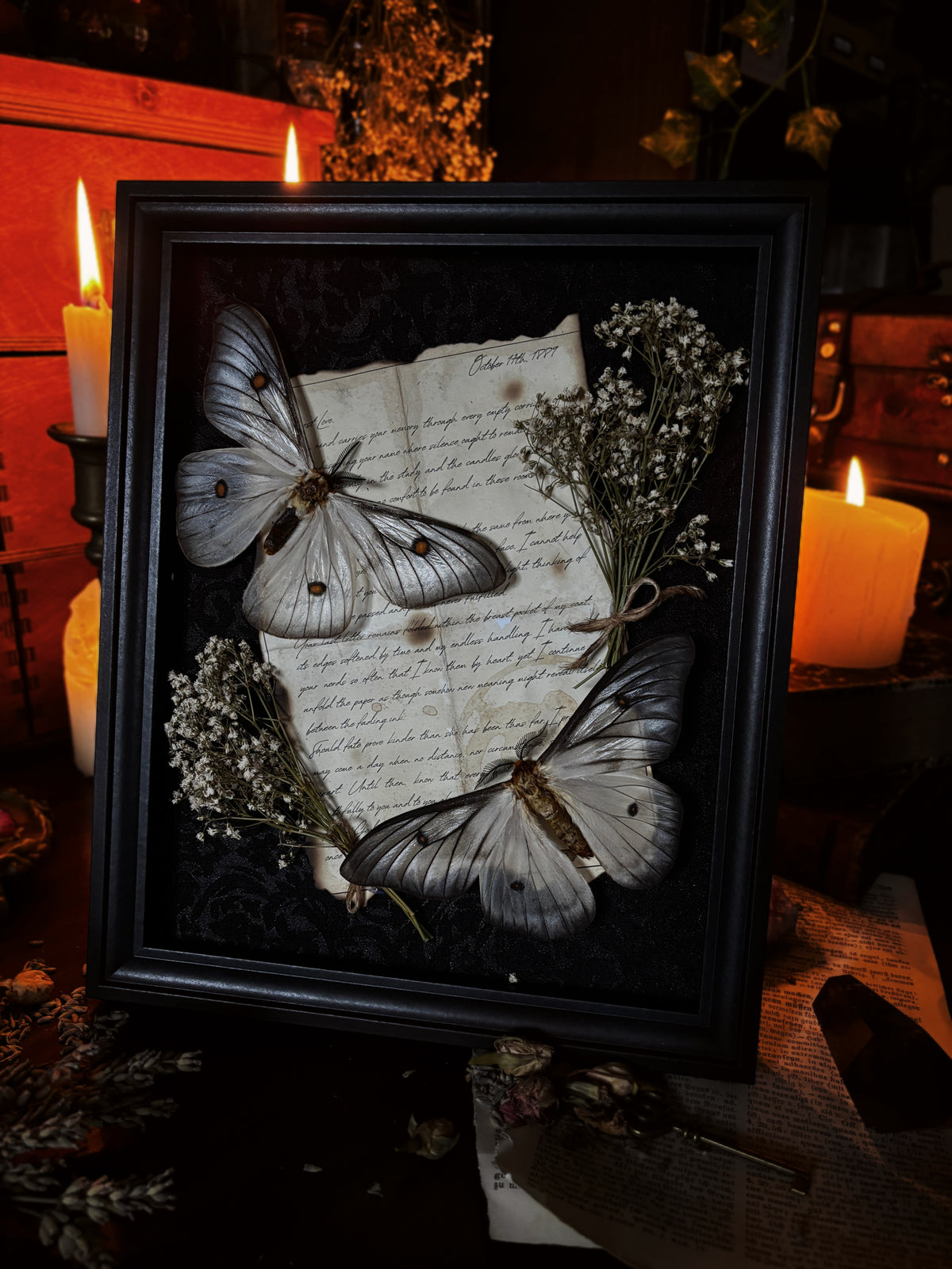 "A Letter to the Ghosts" - Ceranchia apollina (Ghostly silk moths) (25x20cm)