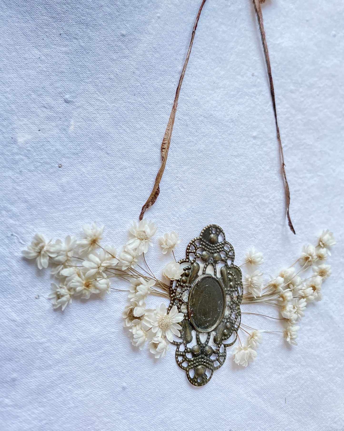 Vintage brass frame - (Rare) Eudaemonia troglophylla