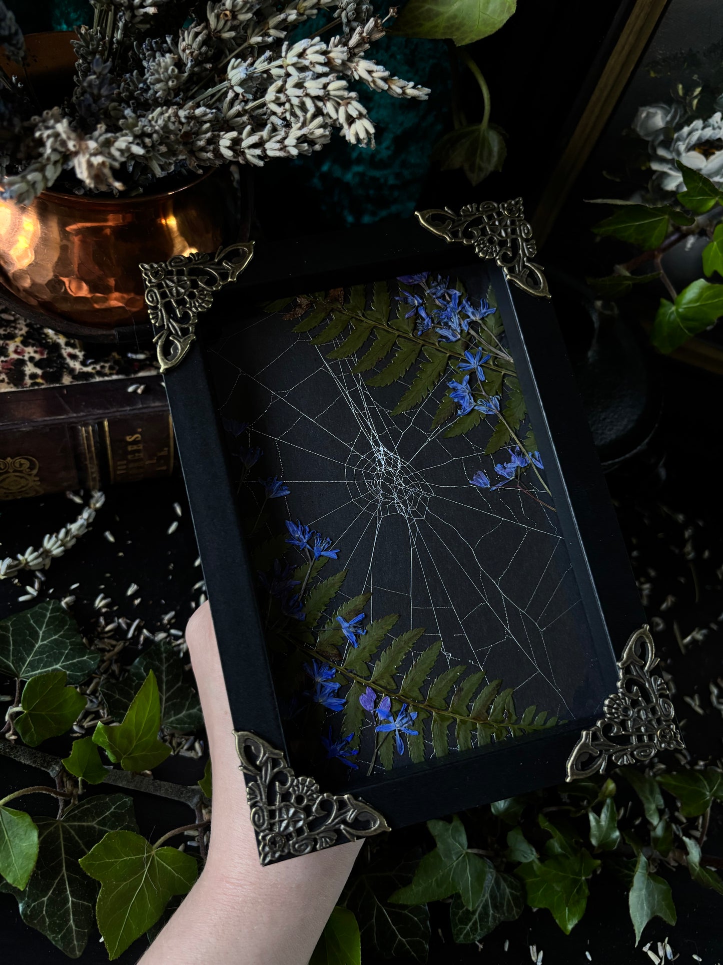 Framed spiderweb - Witches lair
