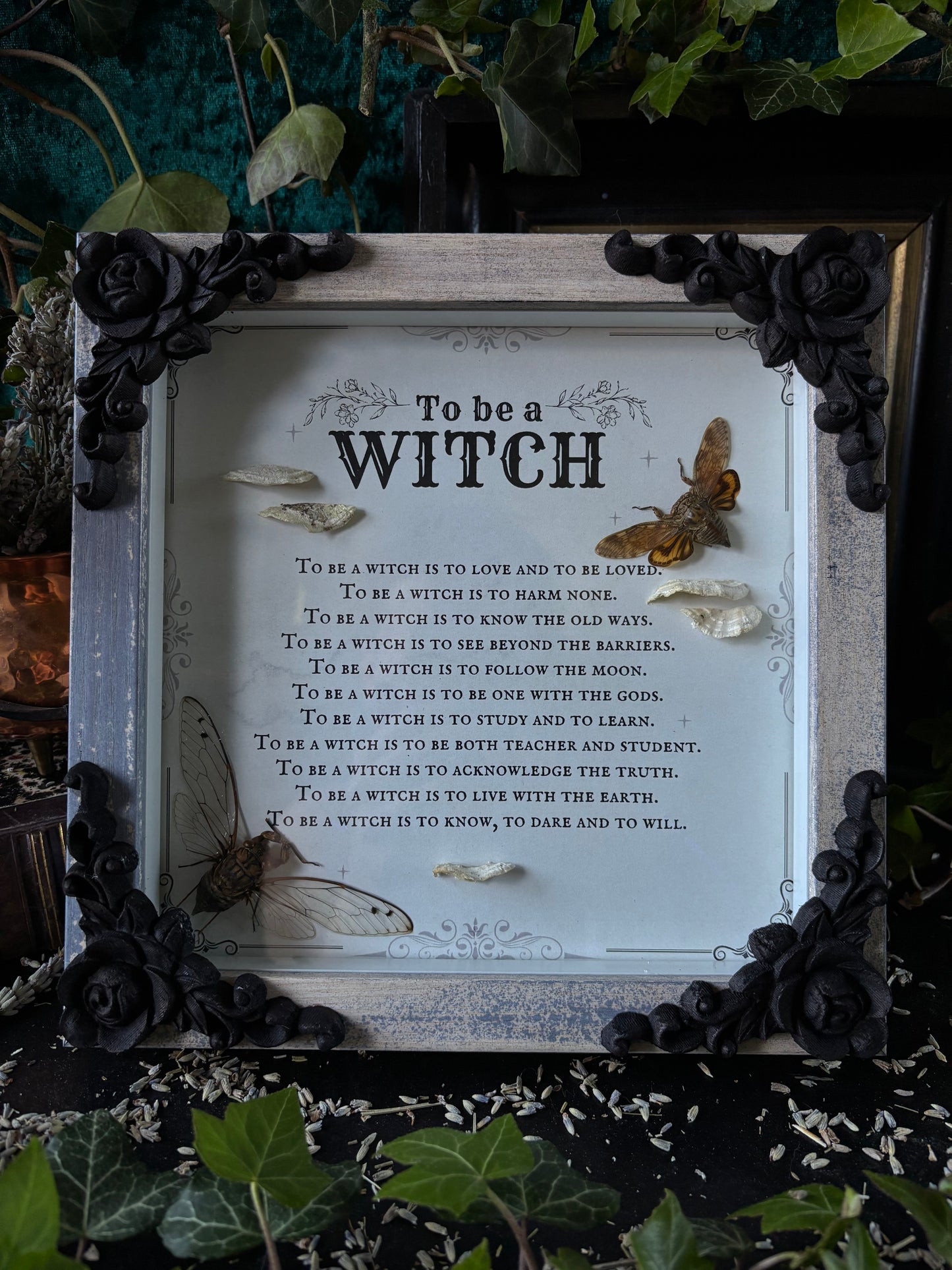 „To be a witch“ - Cicadas (20x20)