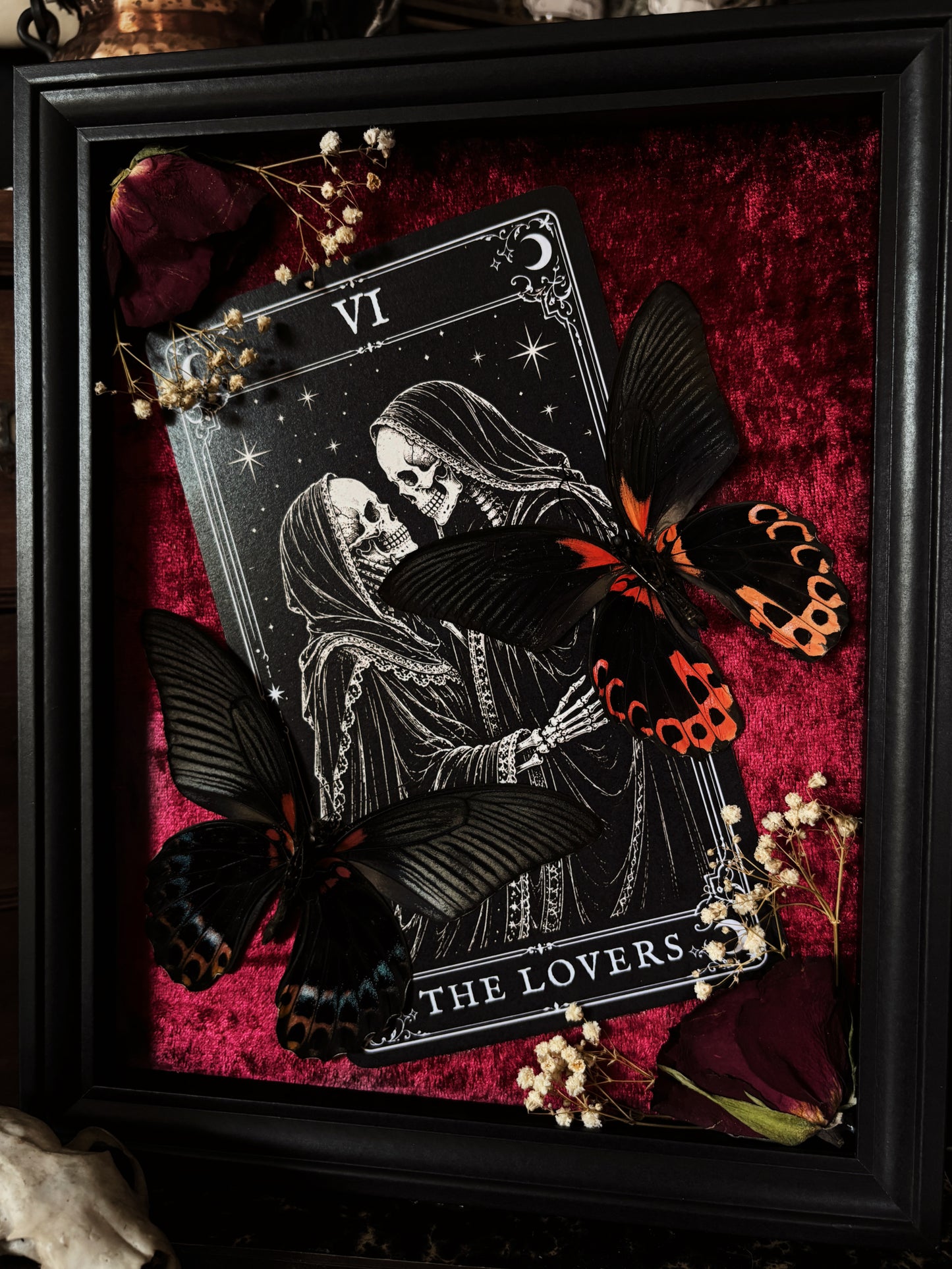 🖤 THE LOVERS - Papilio rumanzovia (25x20cm)
