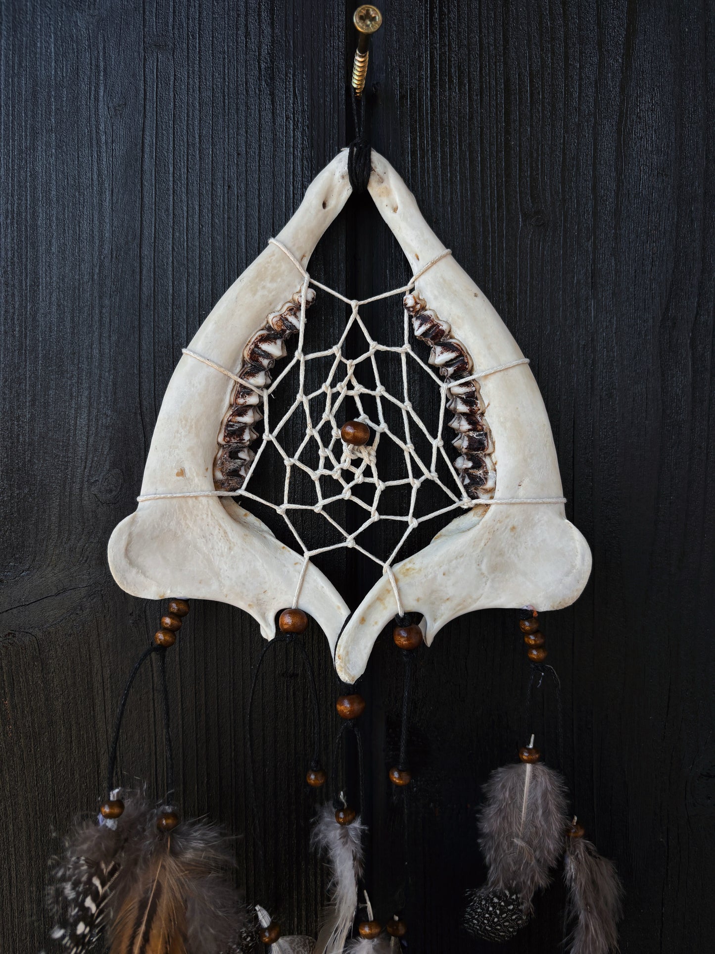 Forest Dreamer - Deer Jaw Dreamcatcher small