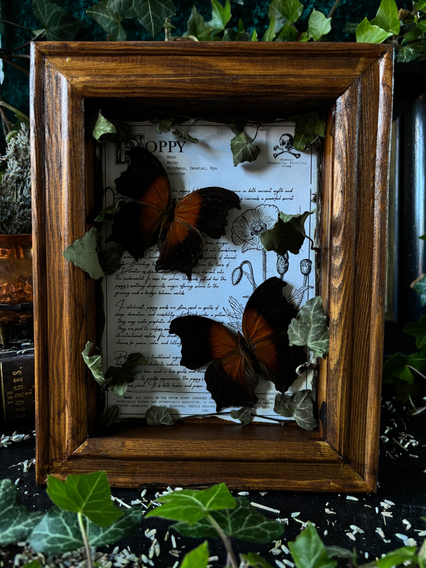 Poppy Frame – "Salamis" (24x18cm)