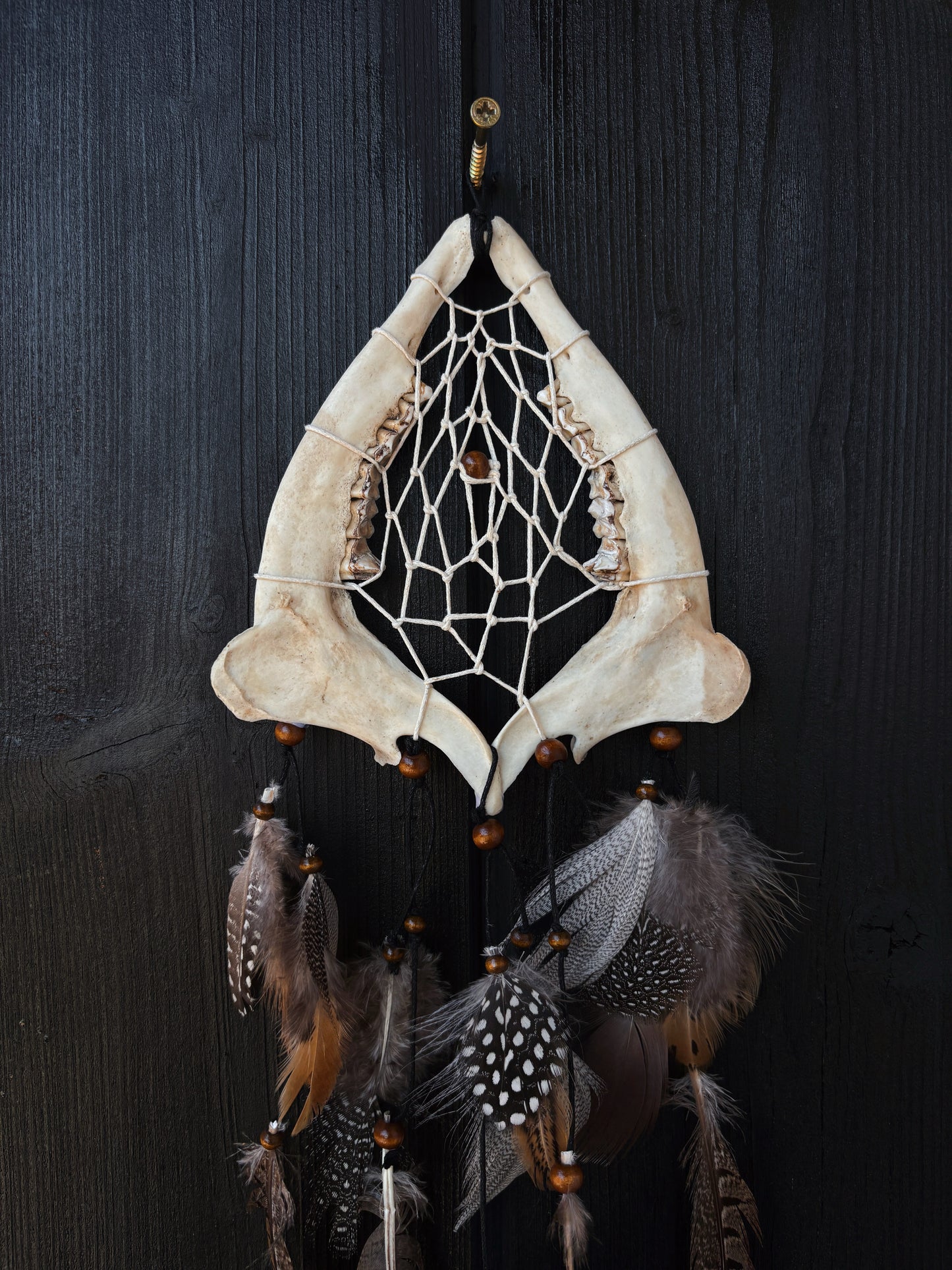 Forest Dreamer - Deer Jaw Dreamcatcher small