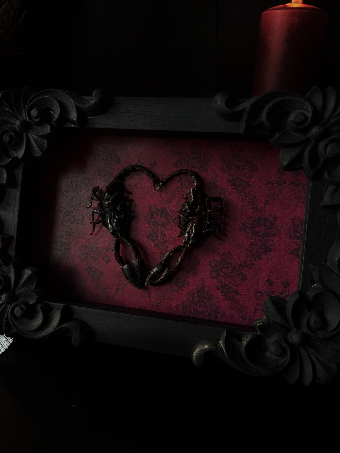 🦂 Scorpion Heart Frame (15 × 10 cm)