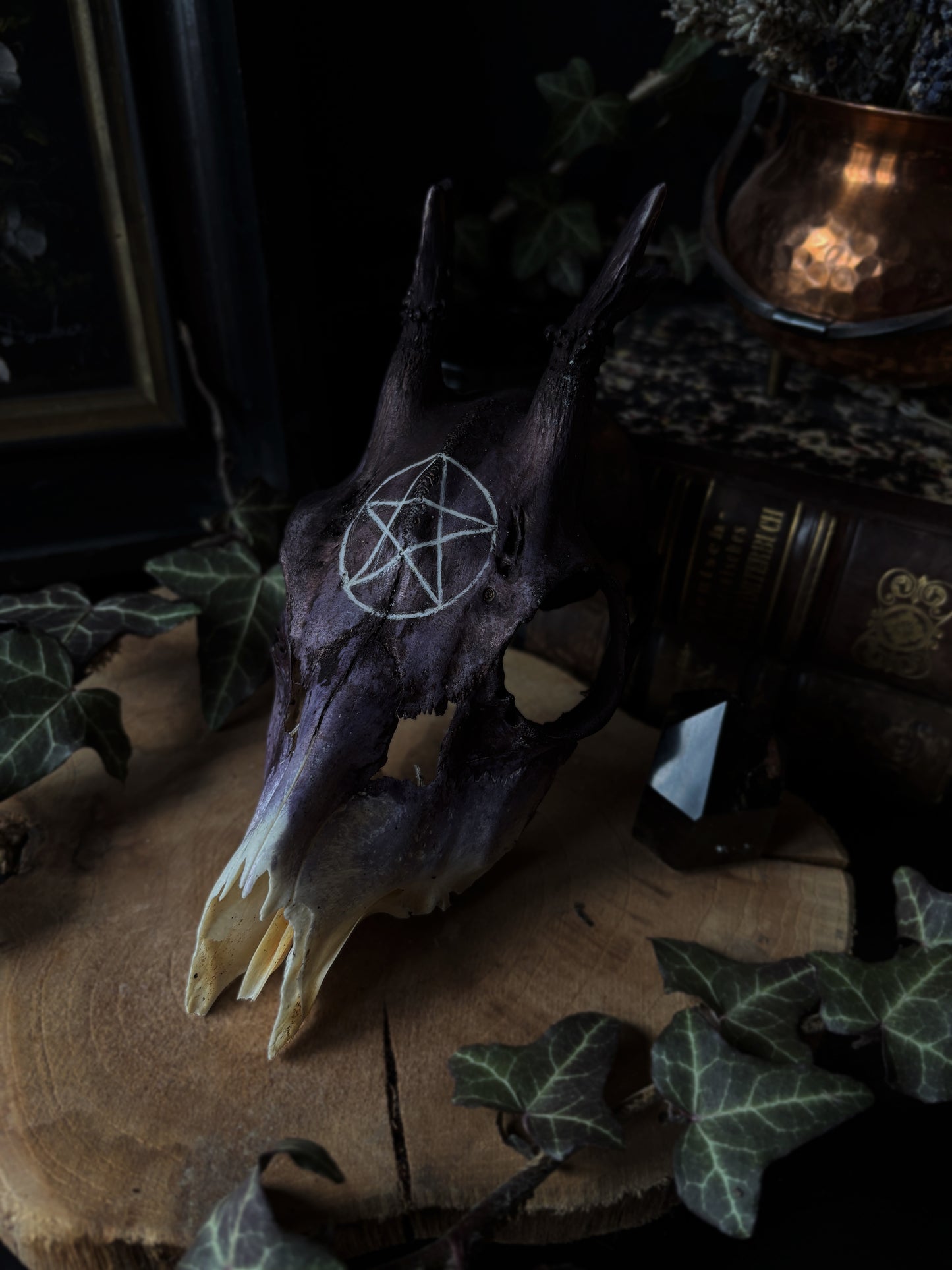 Pentagram Deer Skull | Handcarved & Painted Bone Art