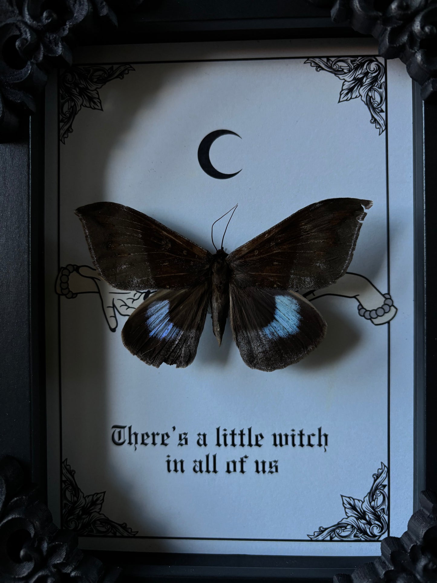 „To be a witch“ - Ischyja inferna(18x13cm)