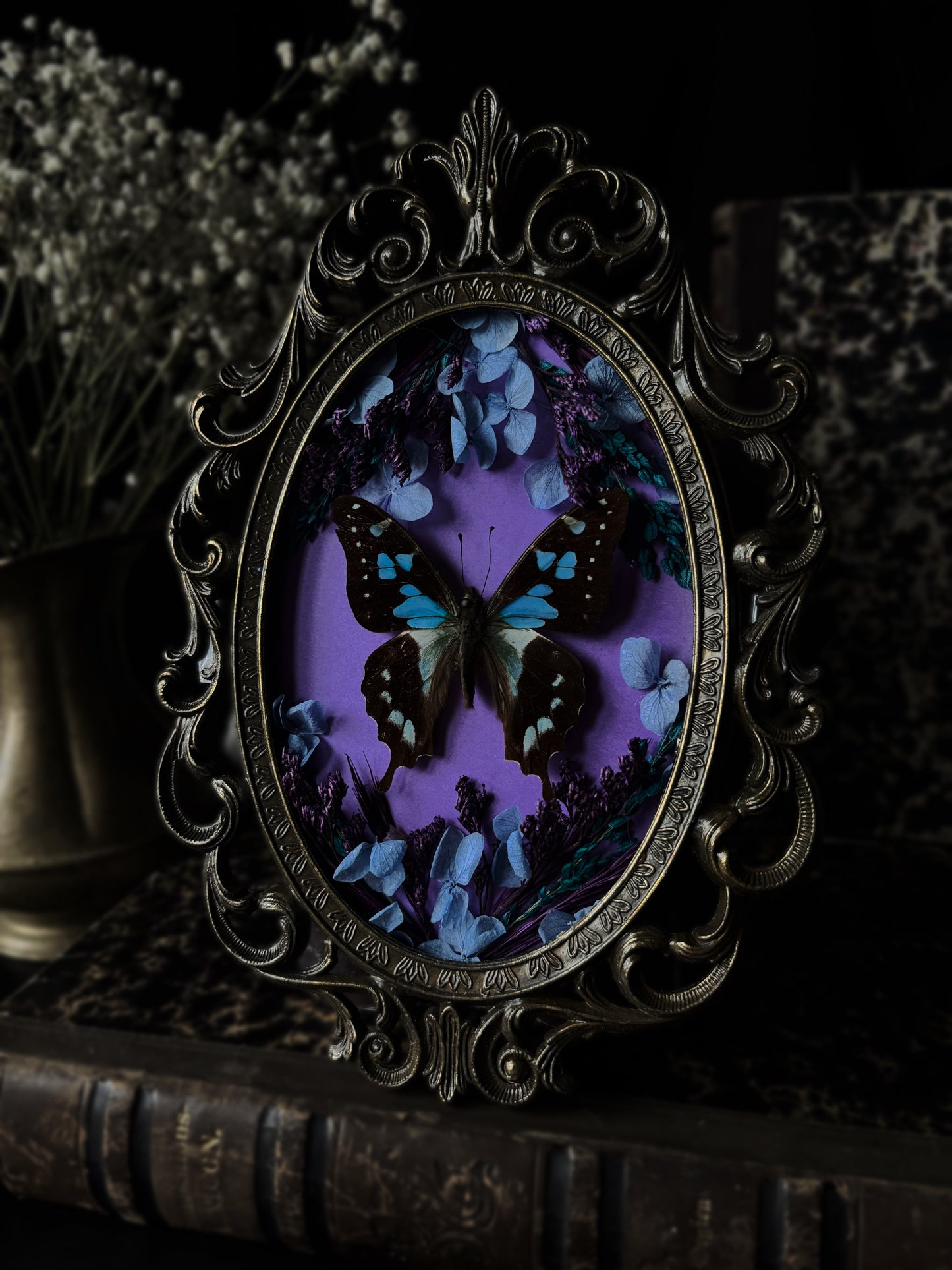 Graphium weiskei (Vintage)