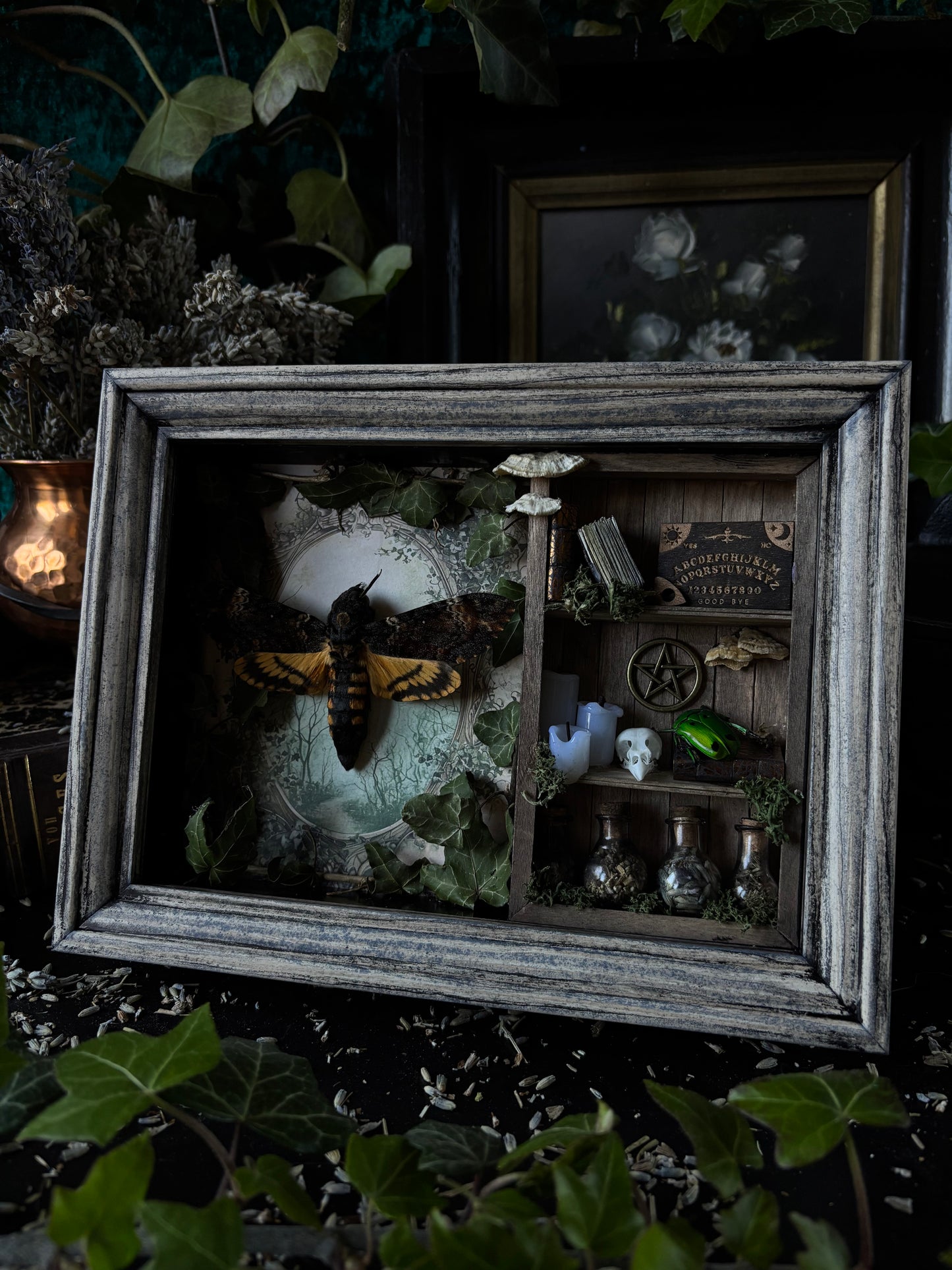 „Witches lair“ Apothecary cabinet - Acherontia Atropos