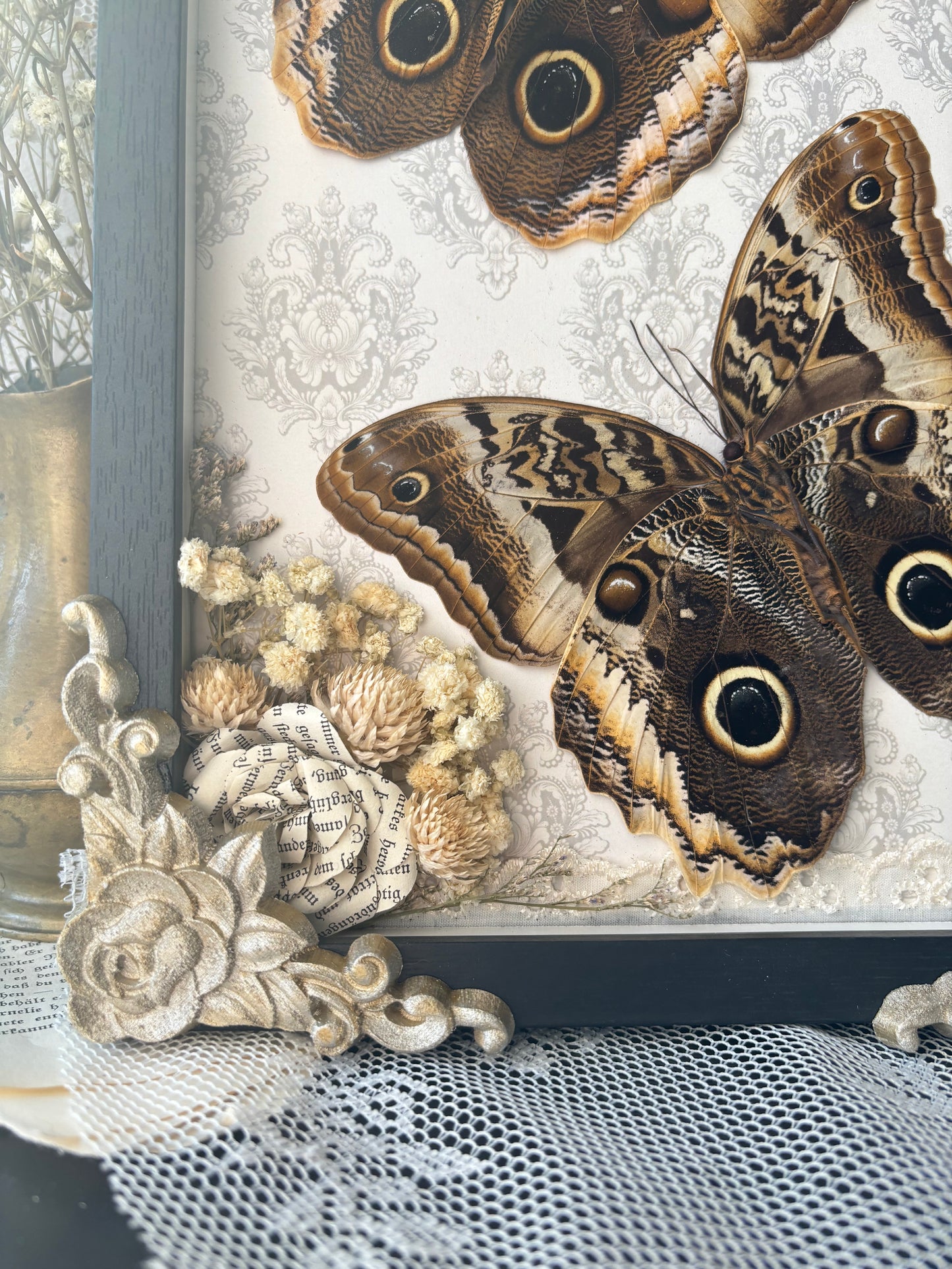 Evening Court – Caligo atreus (30x20cm)