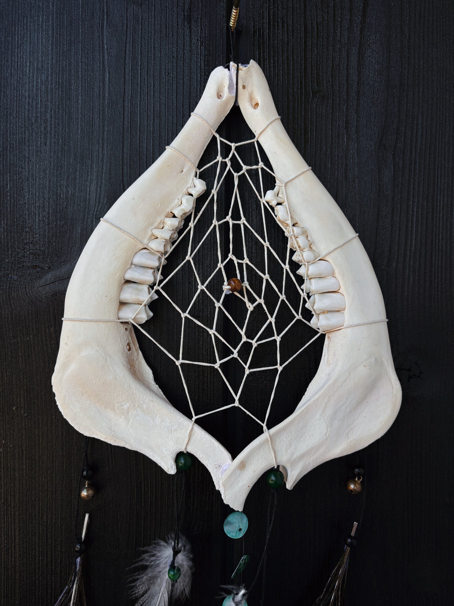 Forest Dreamer - Deer Jaw Dreamcatcher big