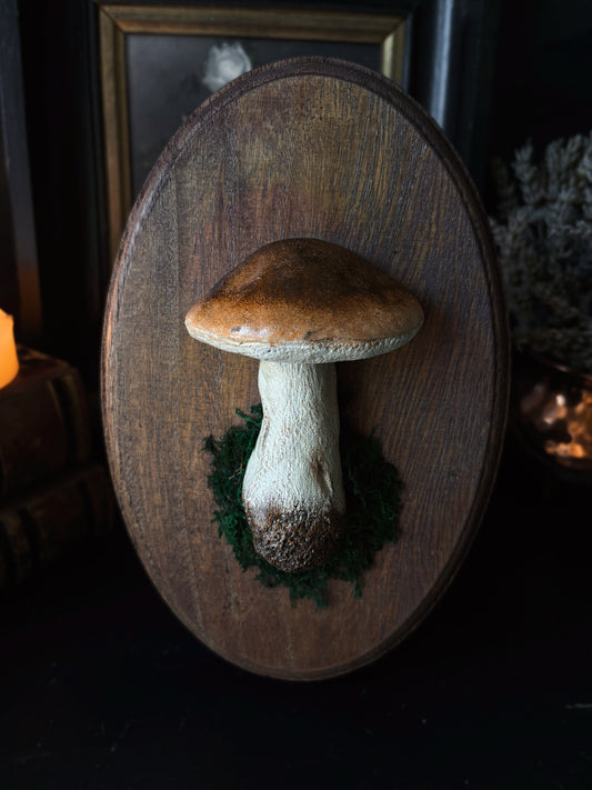 Porcini Mushroom - Polymer Clay Mushroom (21,5x14cm)