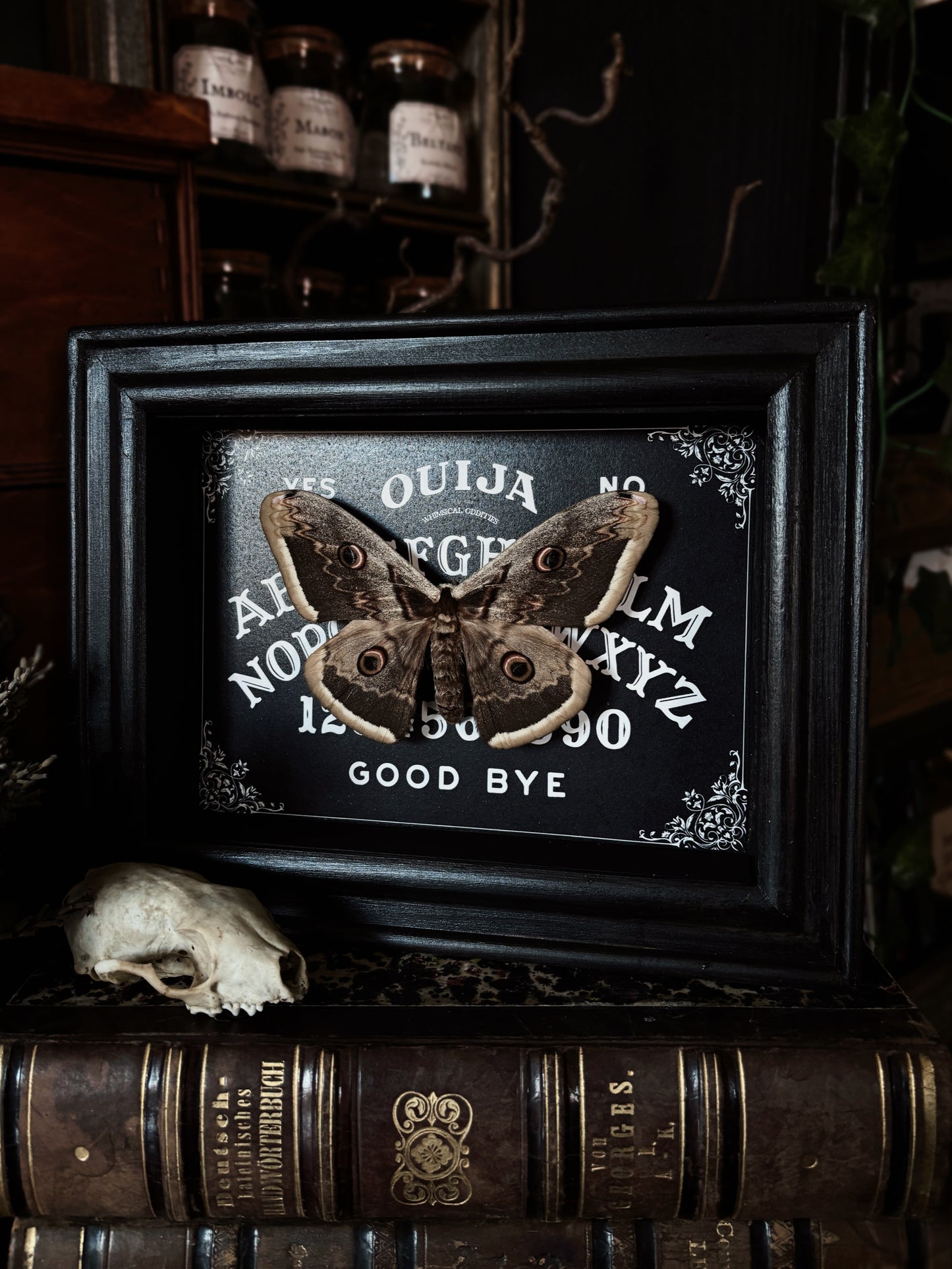 Gothic Ouijah Shadow Box |  (18x13cm)