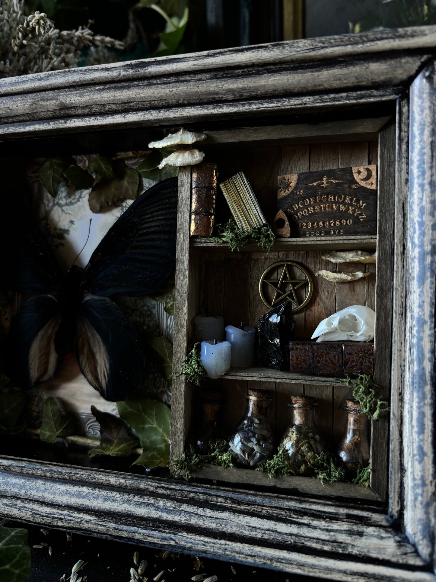 „Witches lair“ Apothecary cabinet