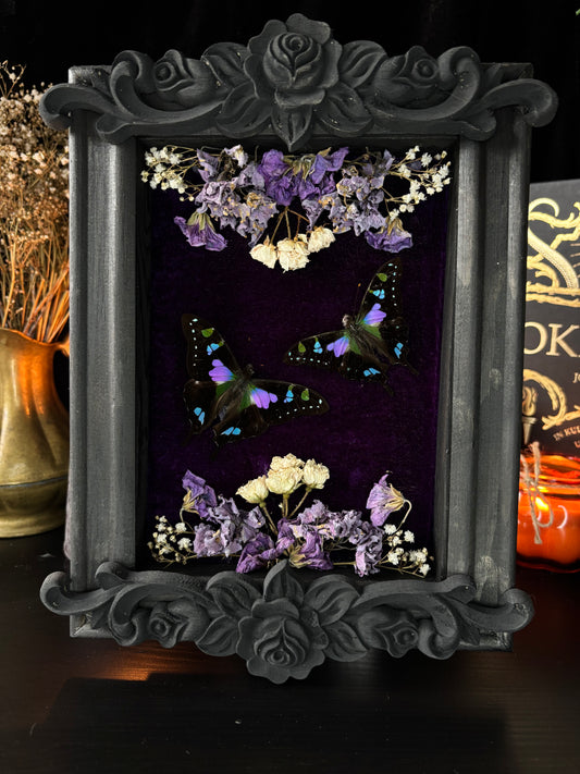 Graphium Weiskei | Whimsical Velvet Floral Frame